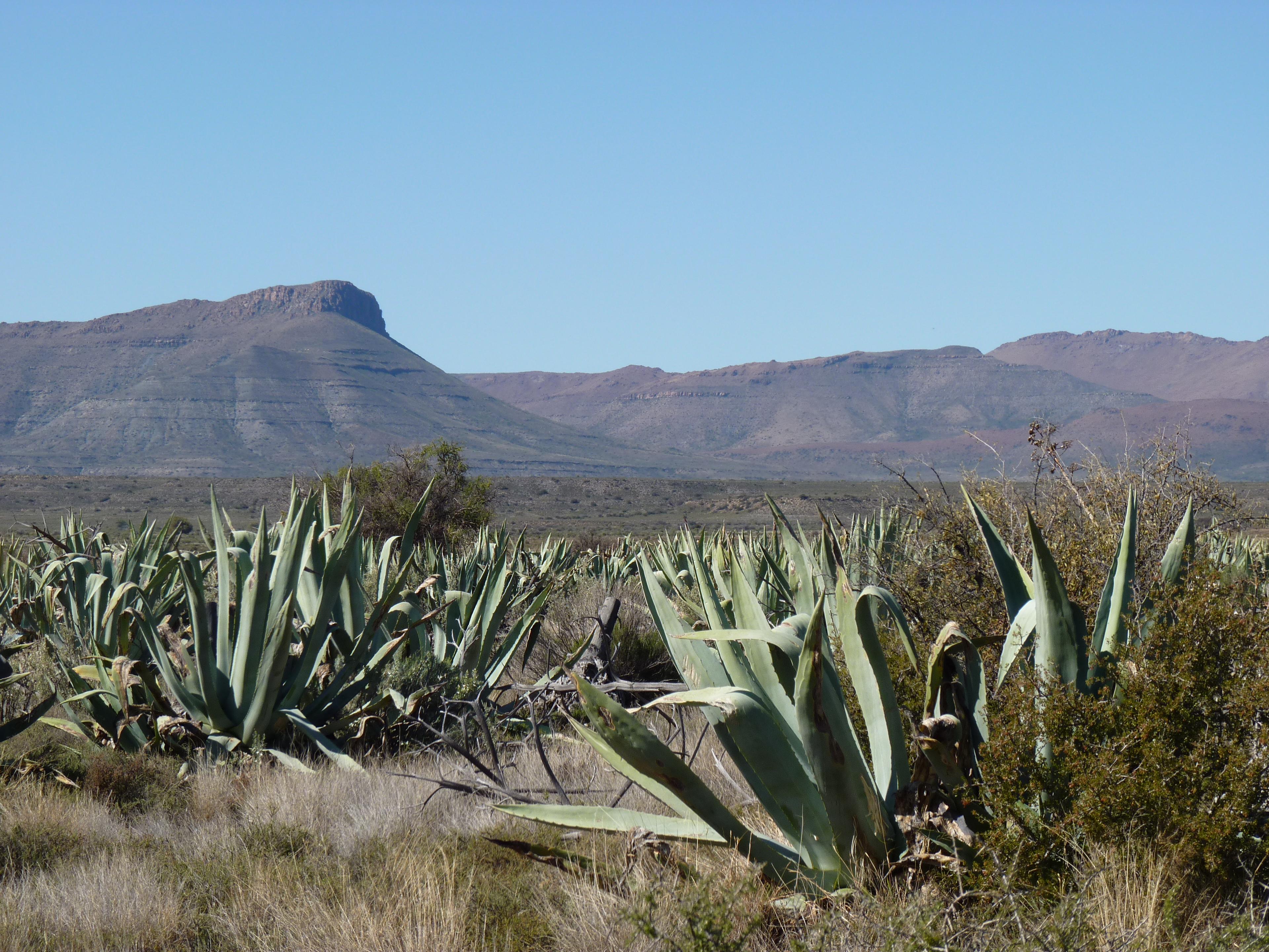 Image 81