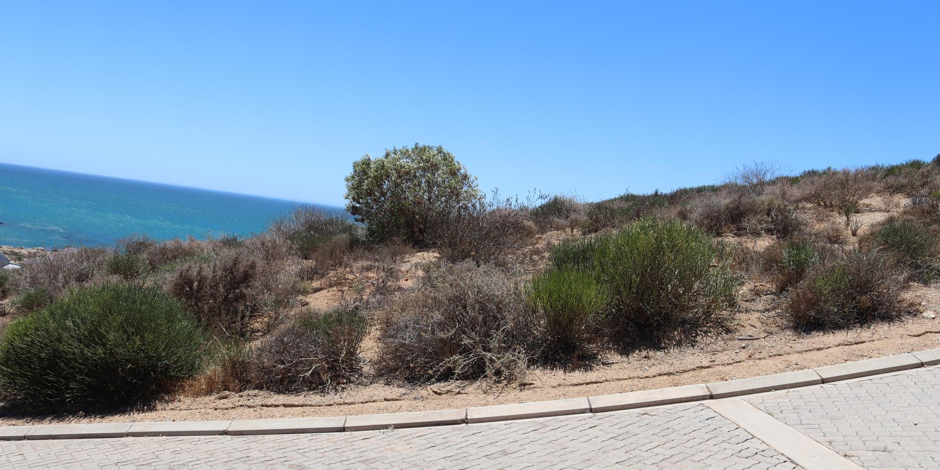 Image 5 of 6
