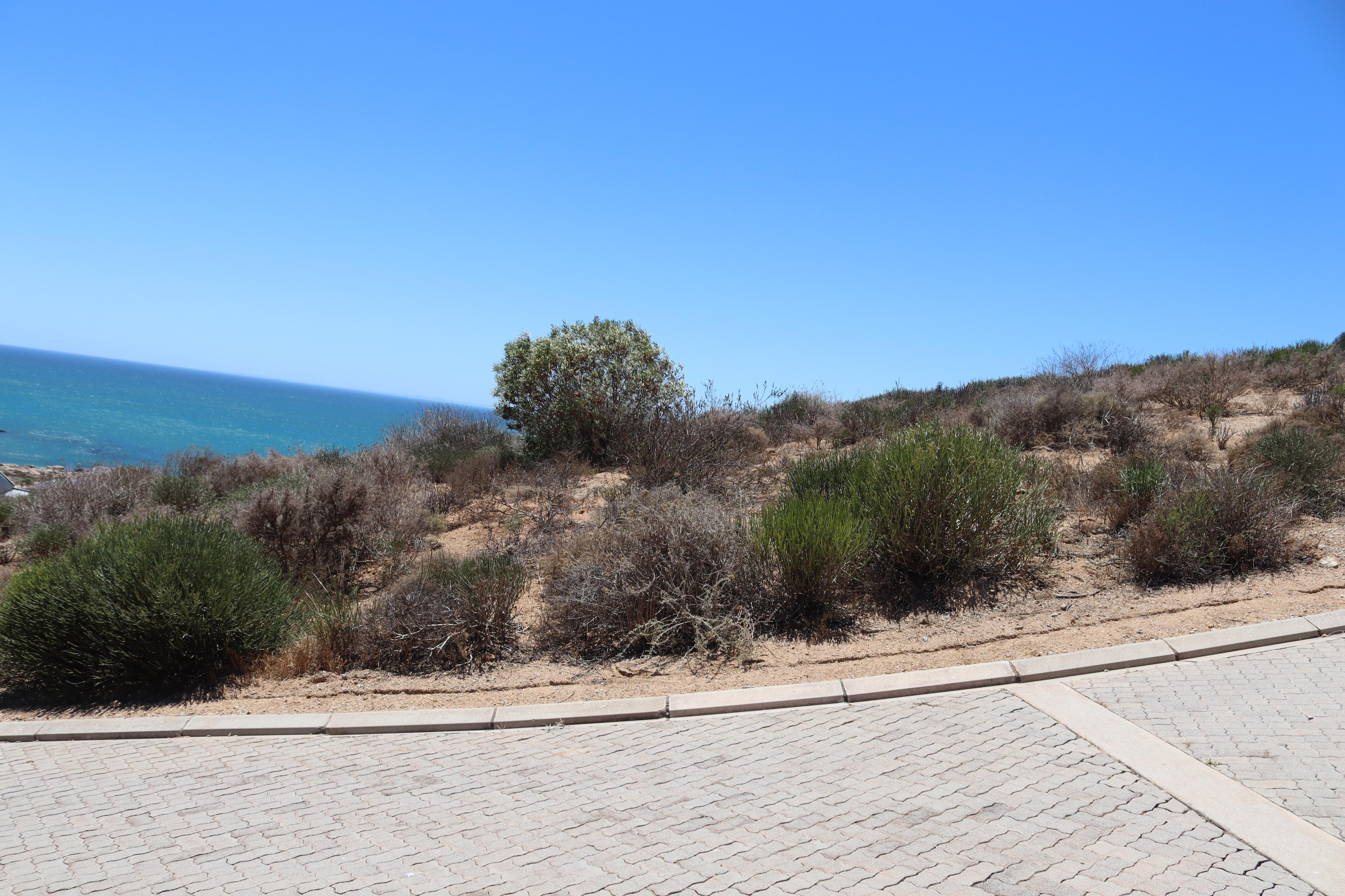 Image 5 of 6