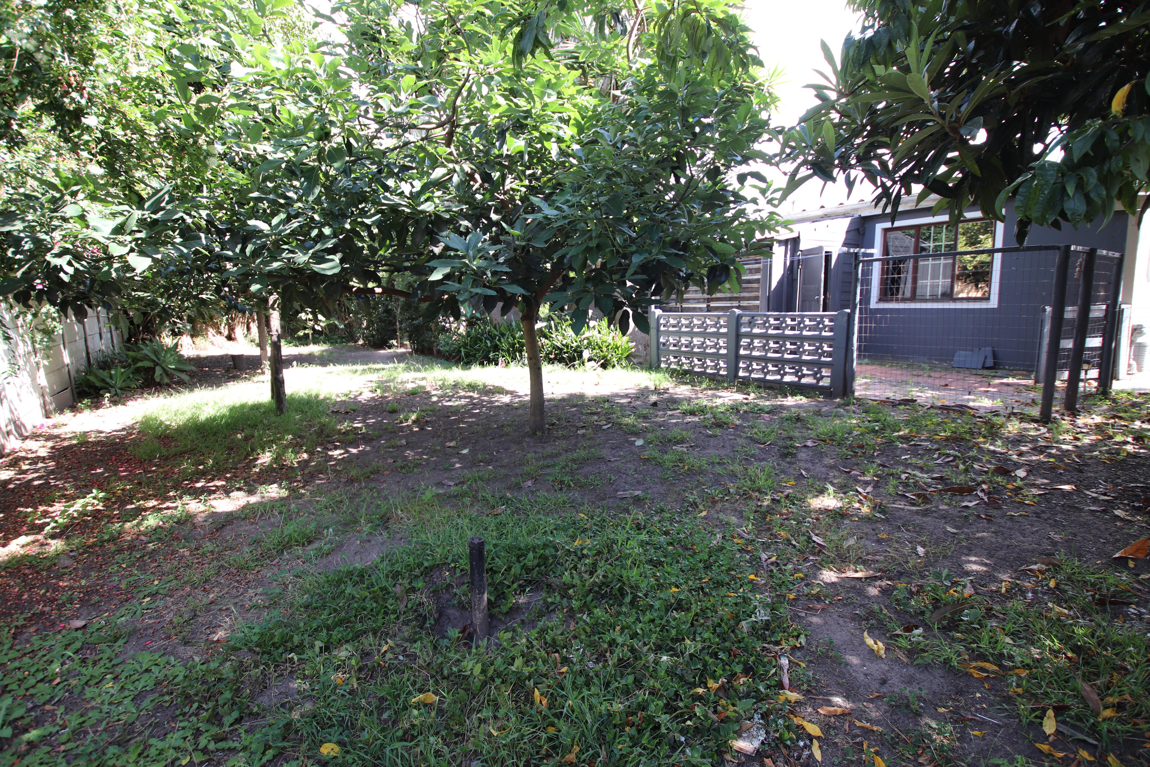 Image 35