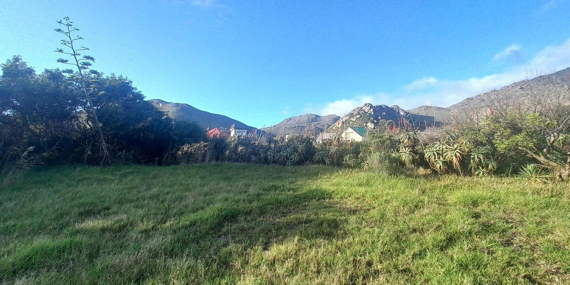 Image 4 of 6
