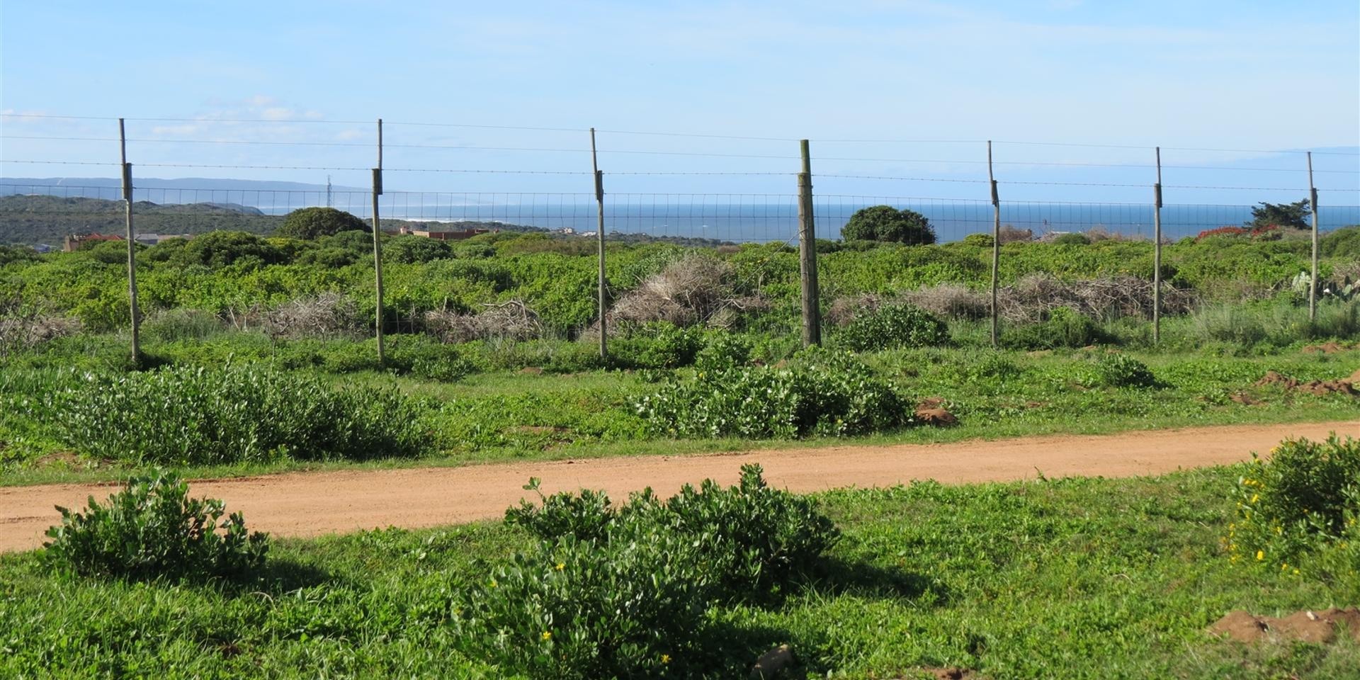 Image 4 of 6