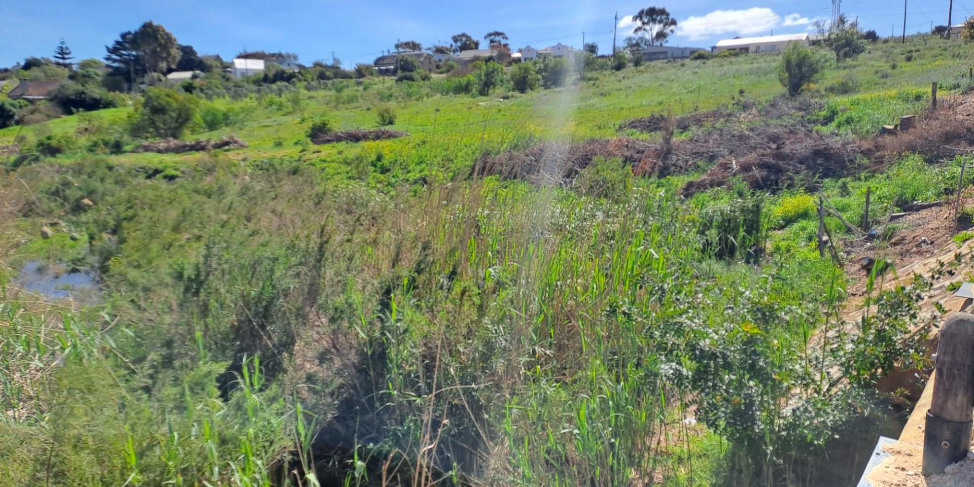 Image 4 of 6