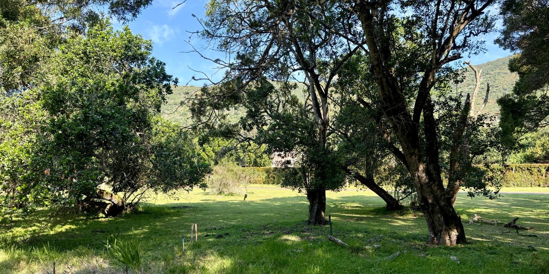 Image 3 of 6