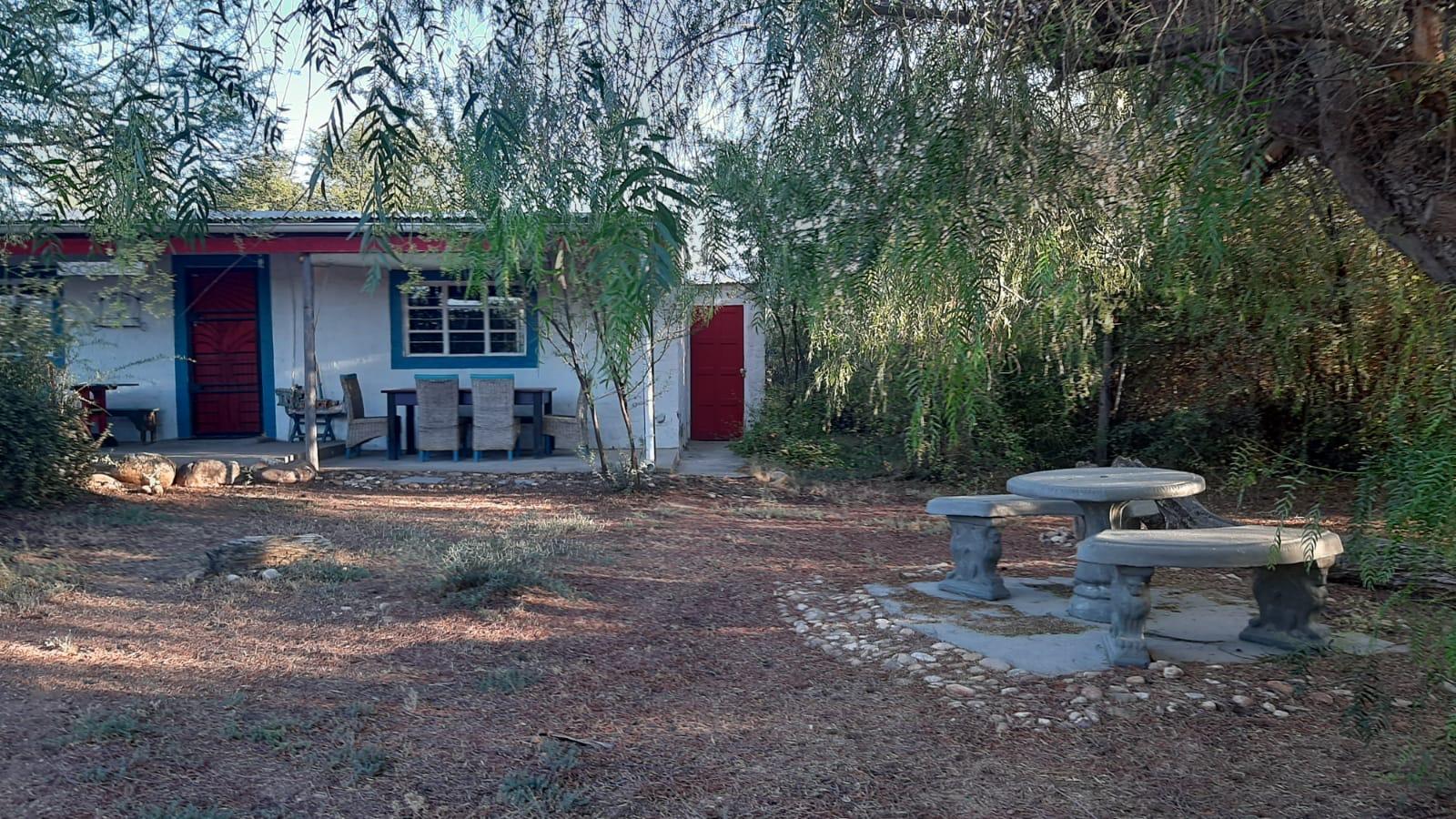 Image 19