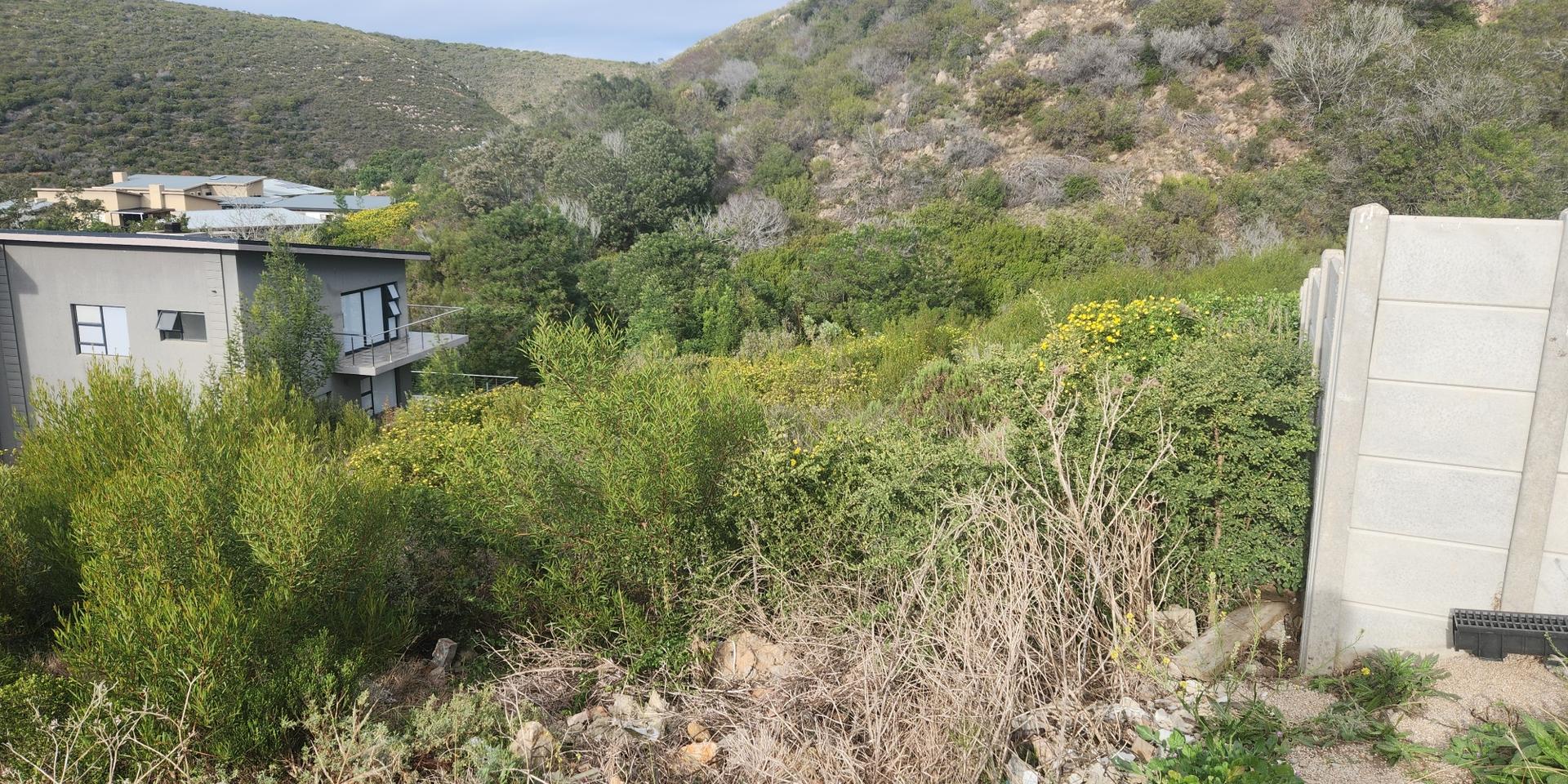 Image 3 of 6