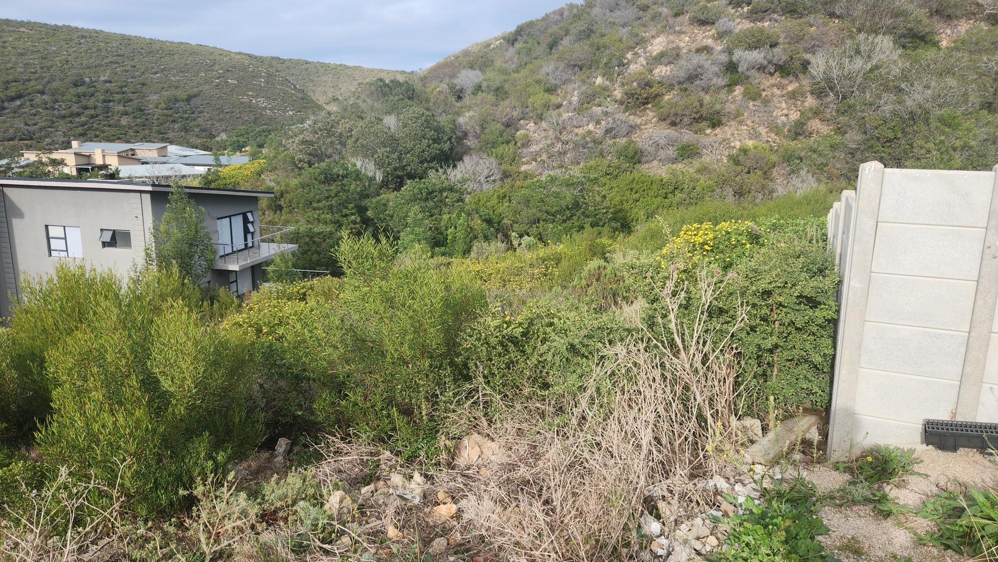Image 3 of 6
