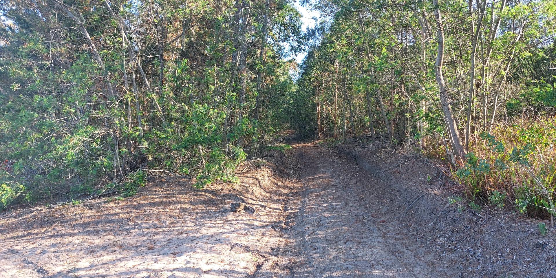 Image 5 of 6