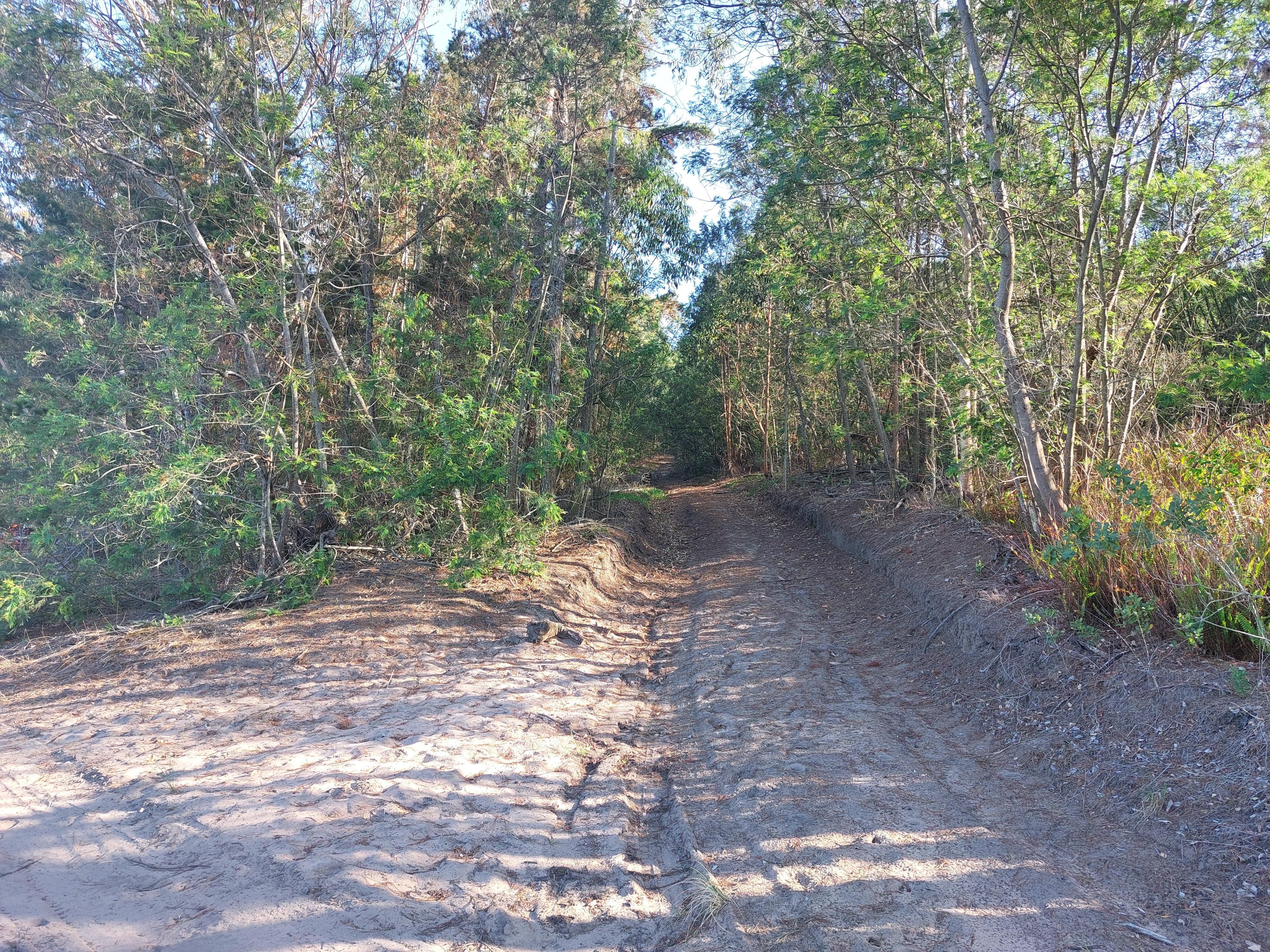 Image 5 of 6