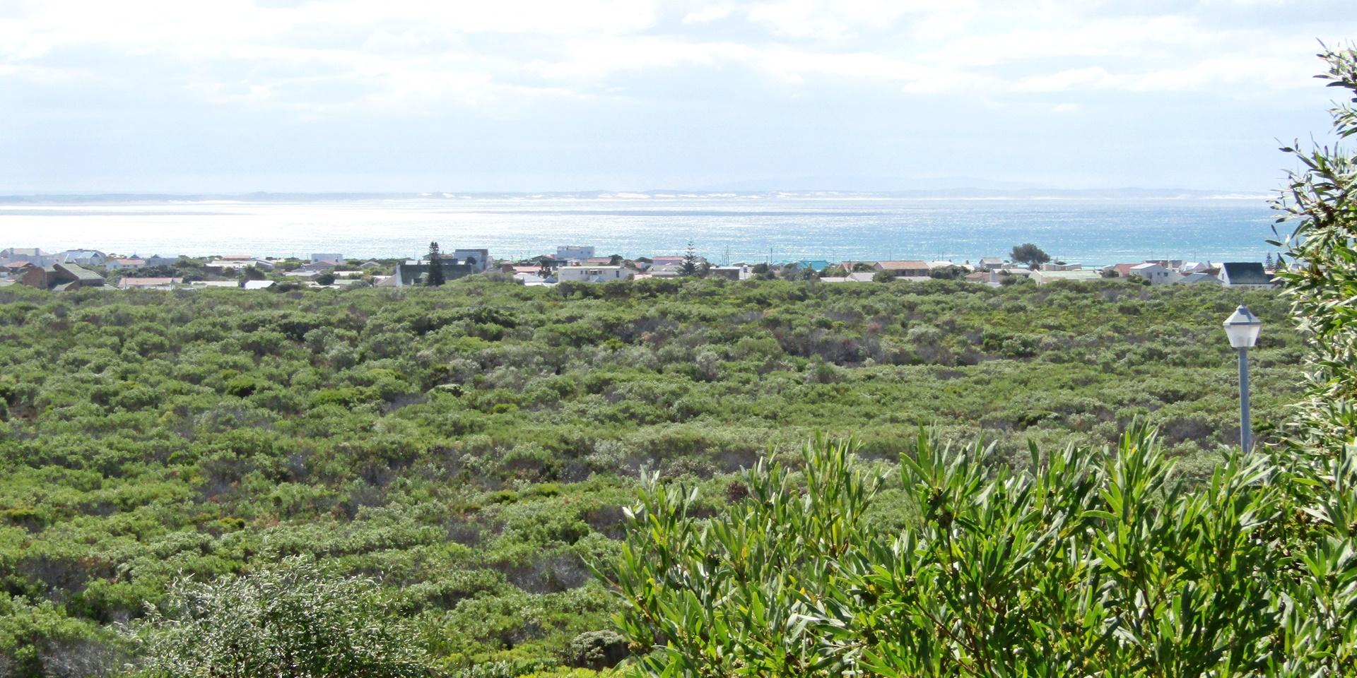 Image 5 of 6