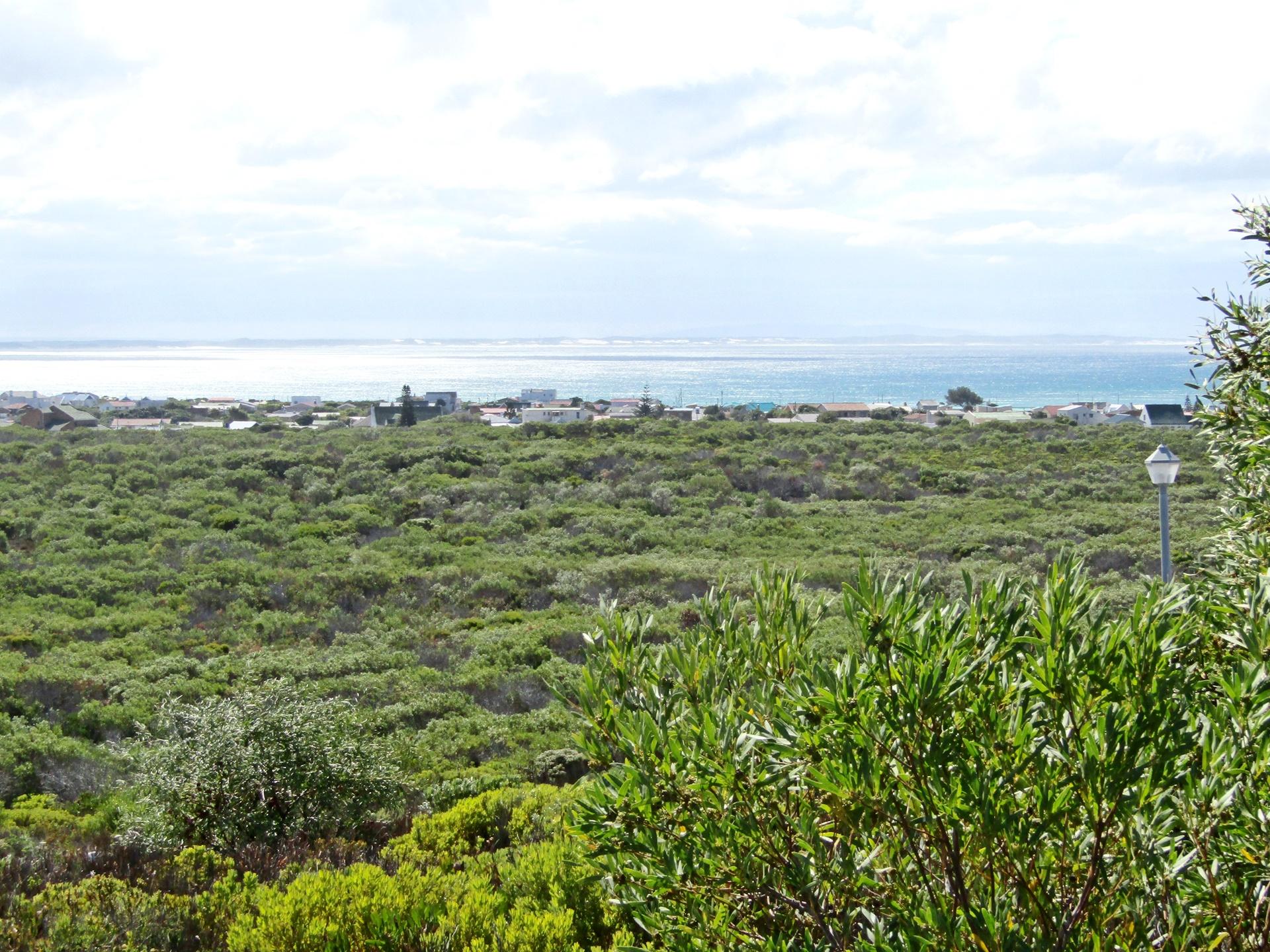 Image 5 of 6