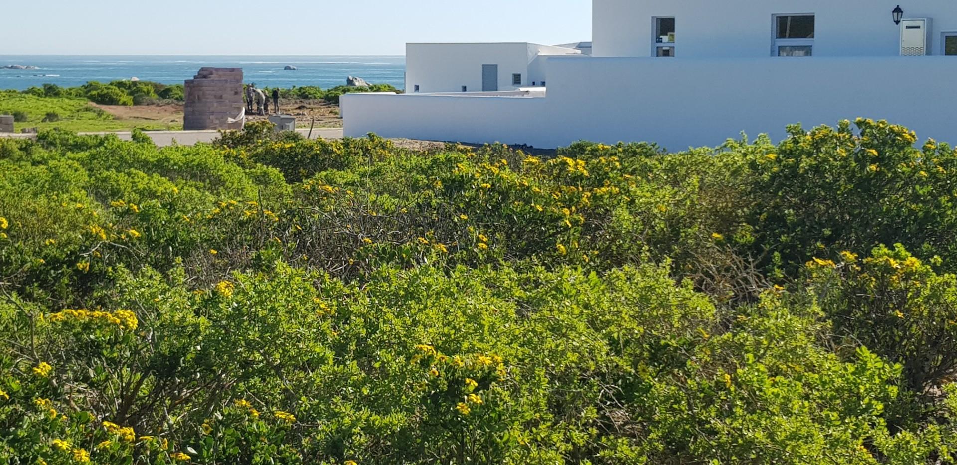 Image 4 of 6