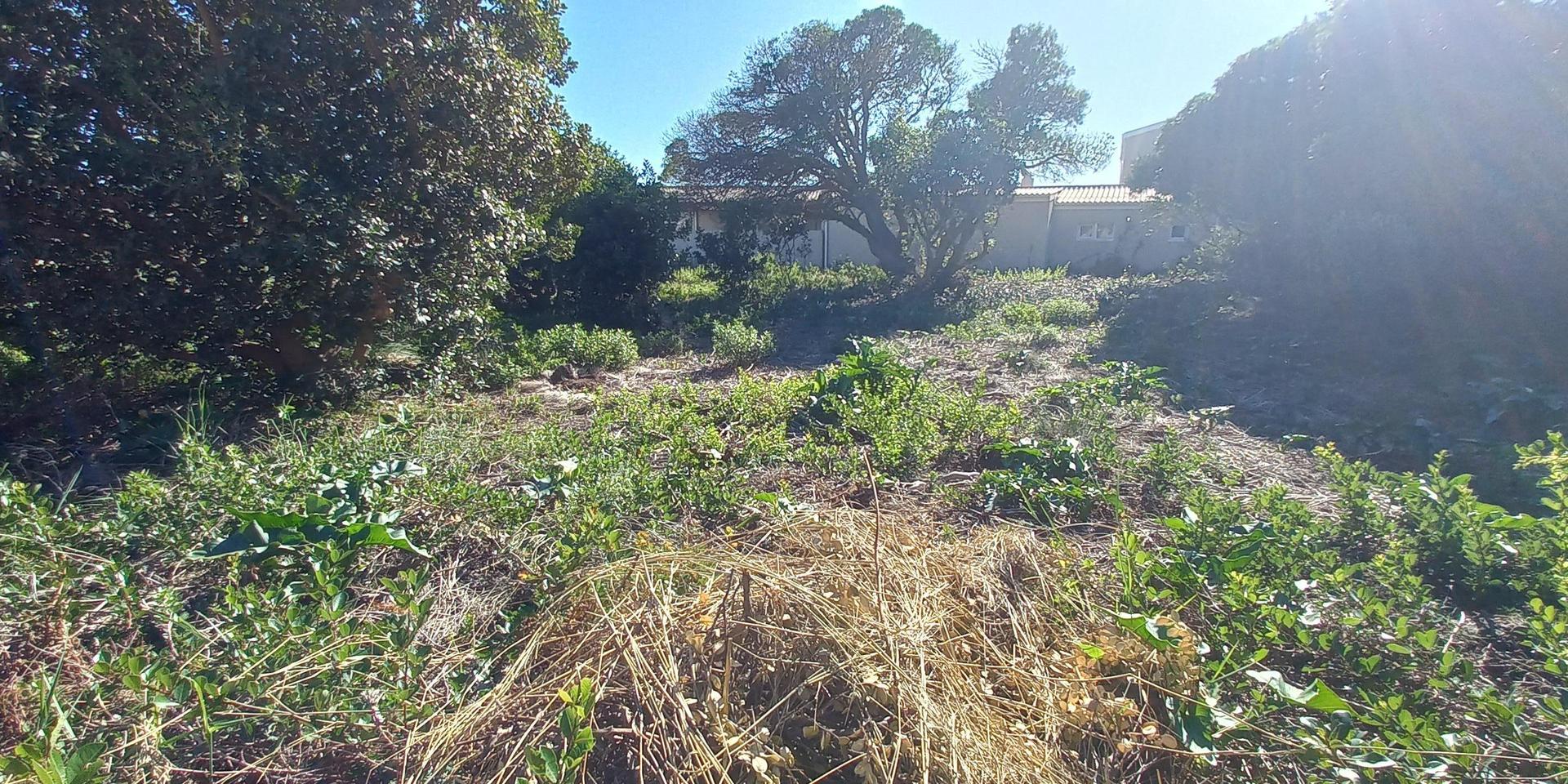 Image 3 of 6