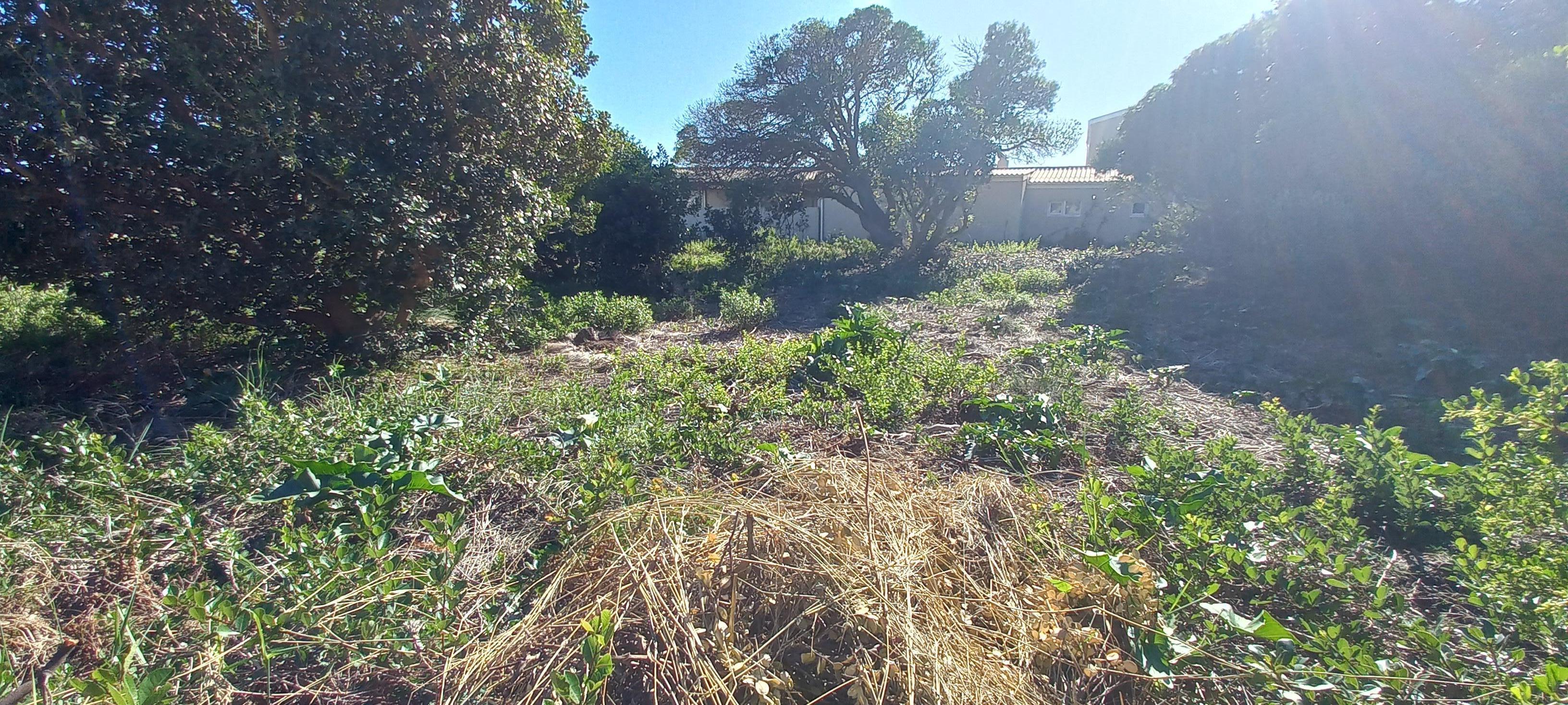 Image 3 of 6