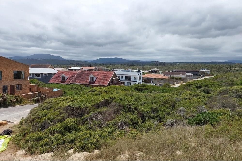 Image 15
