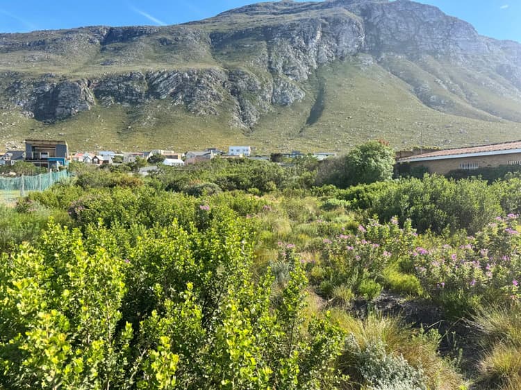 Main property image