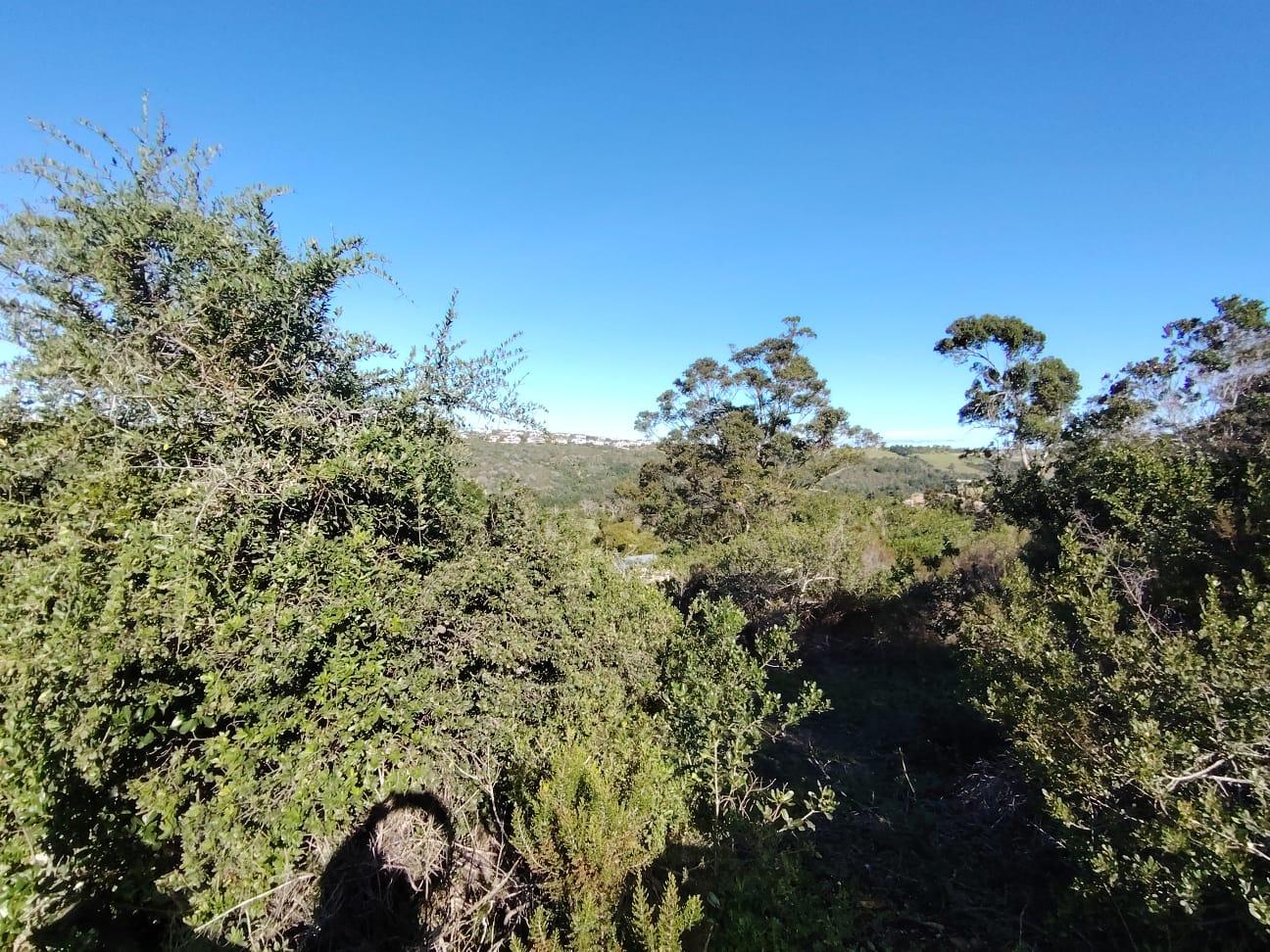 Image 4 of 6