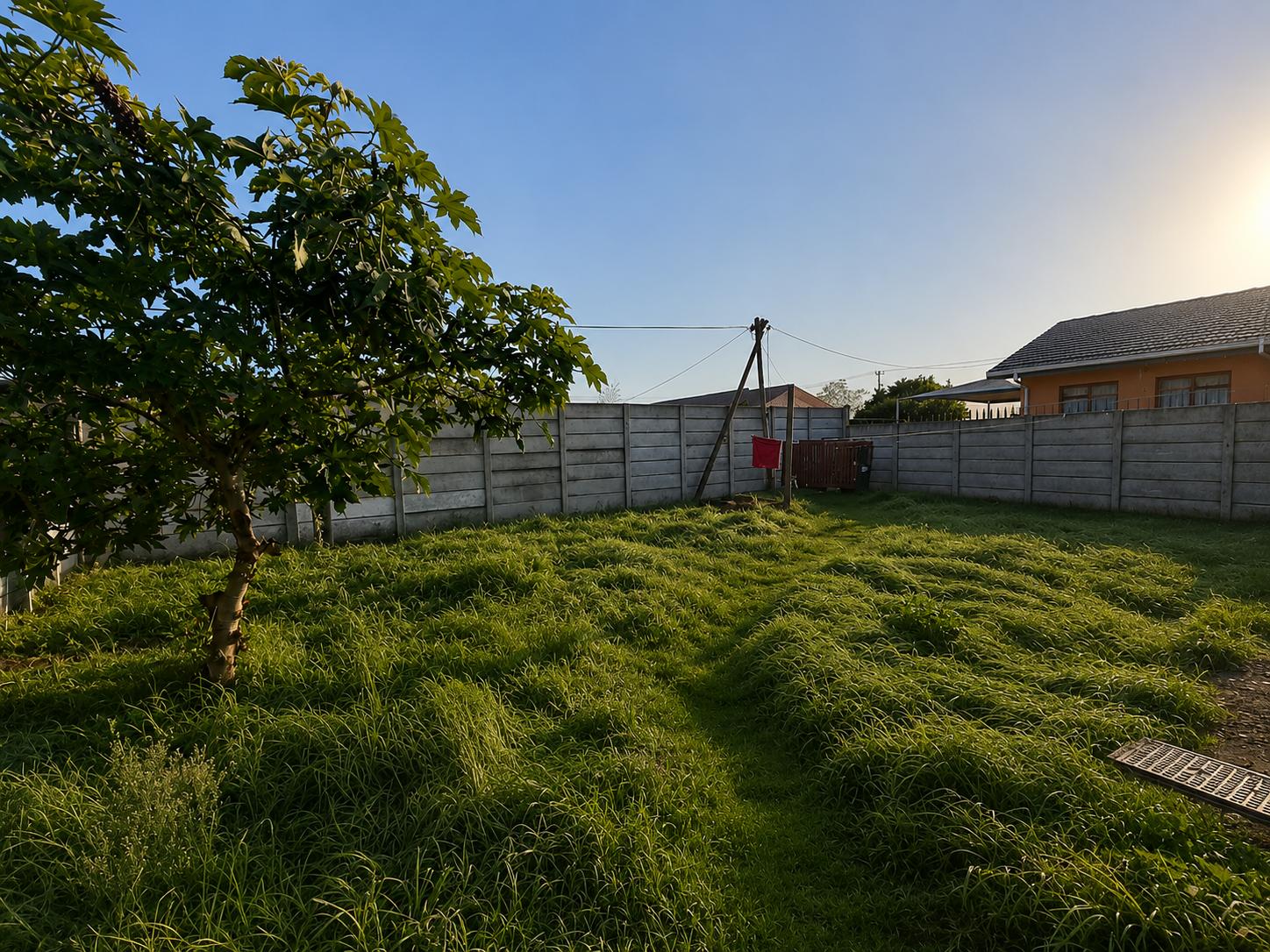 Image 24