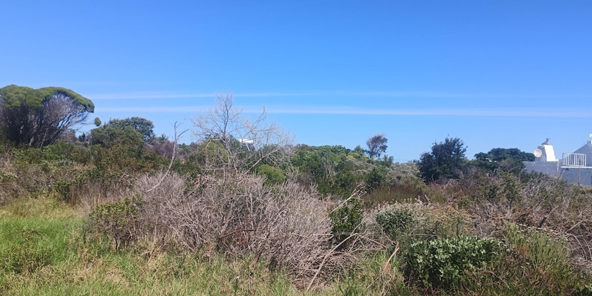 Image 3 of 6