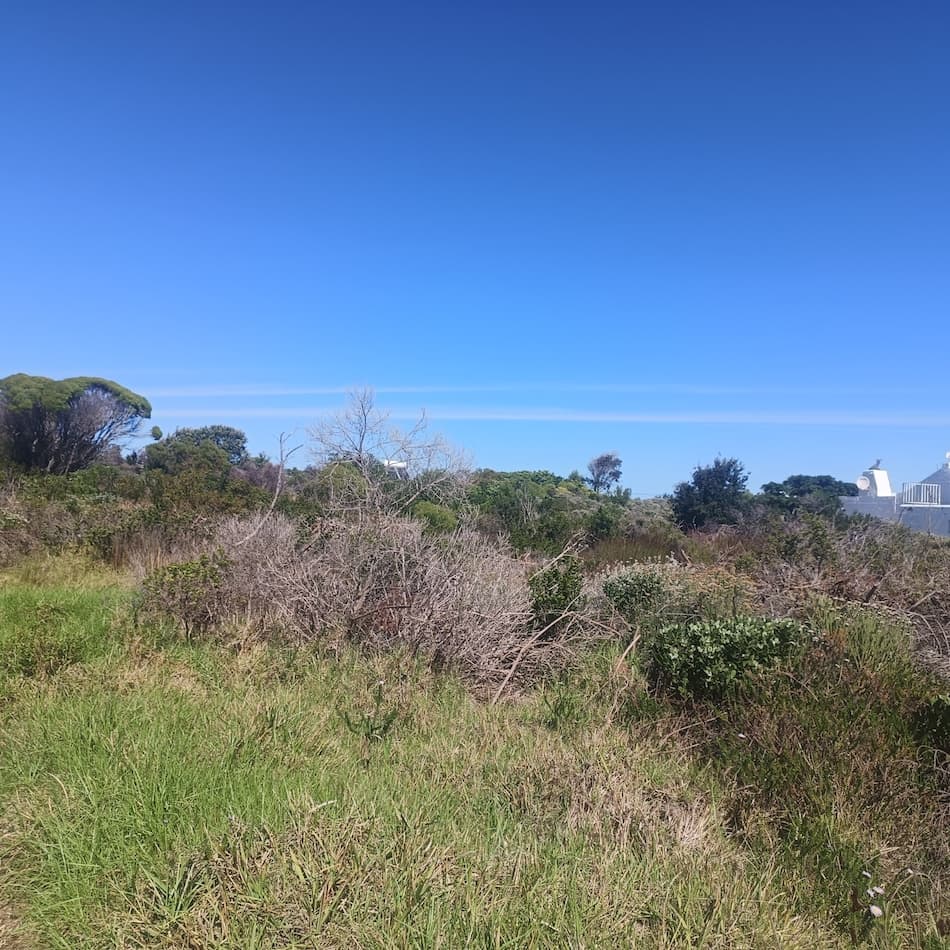 Image 3 of 6