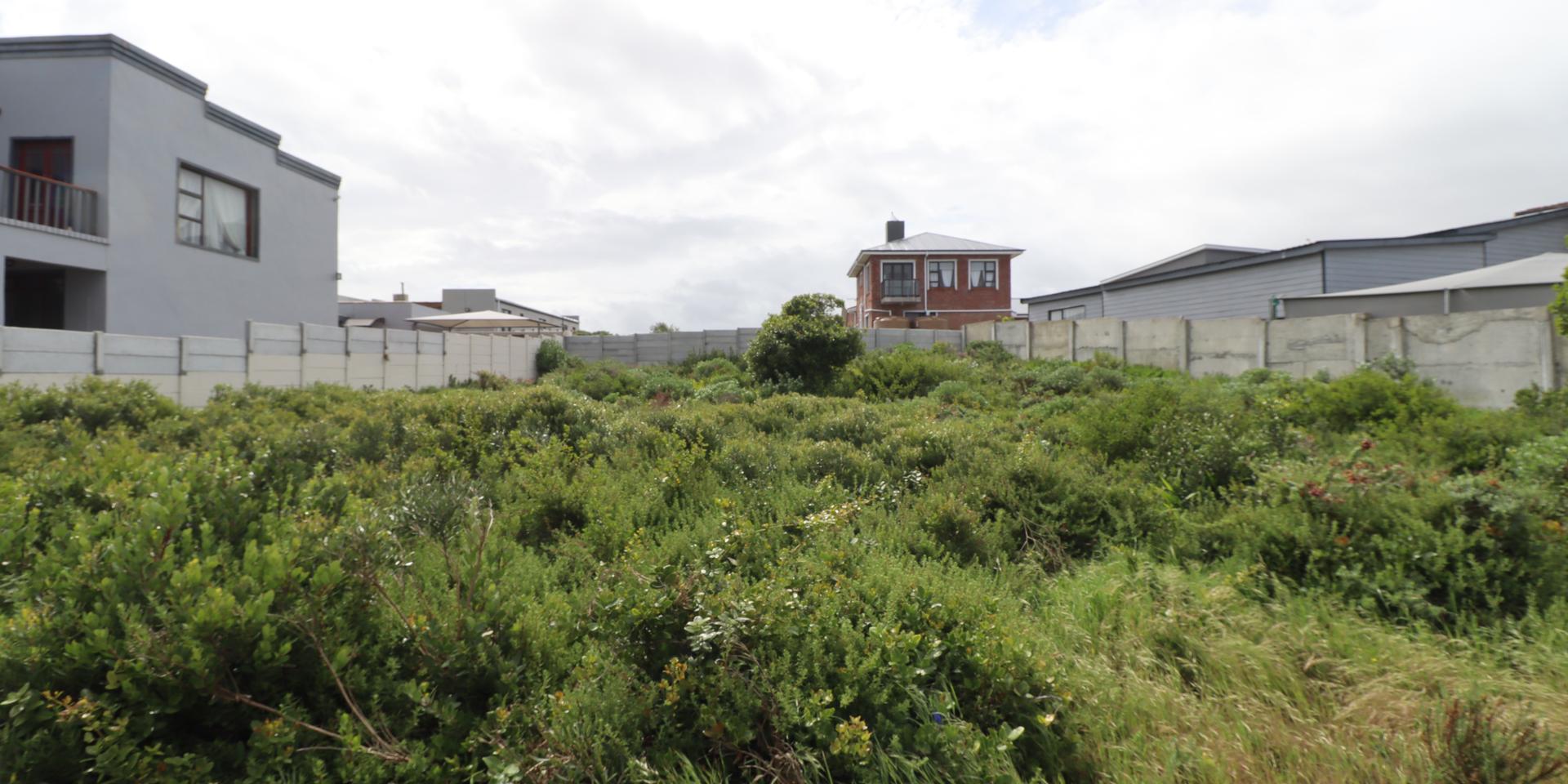 Image 2 of 6