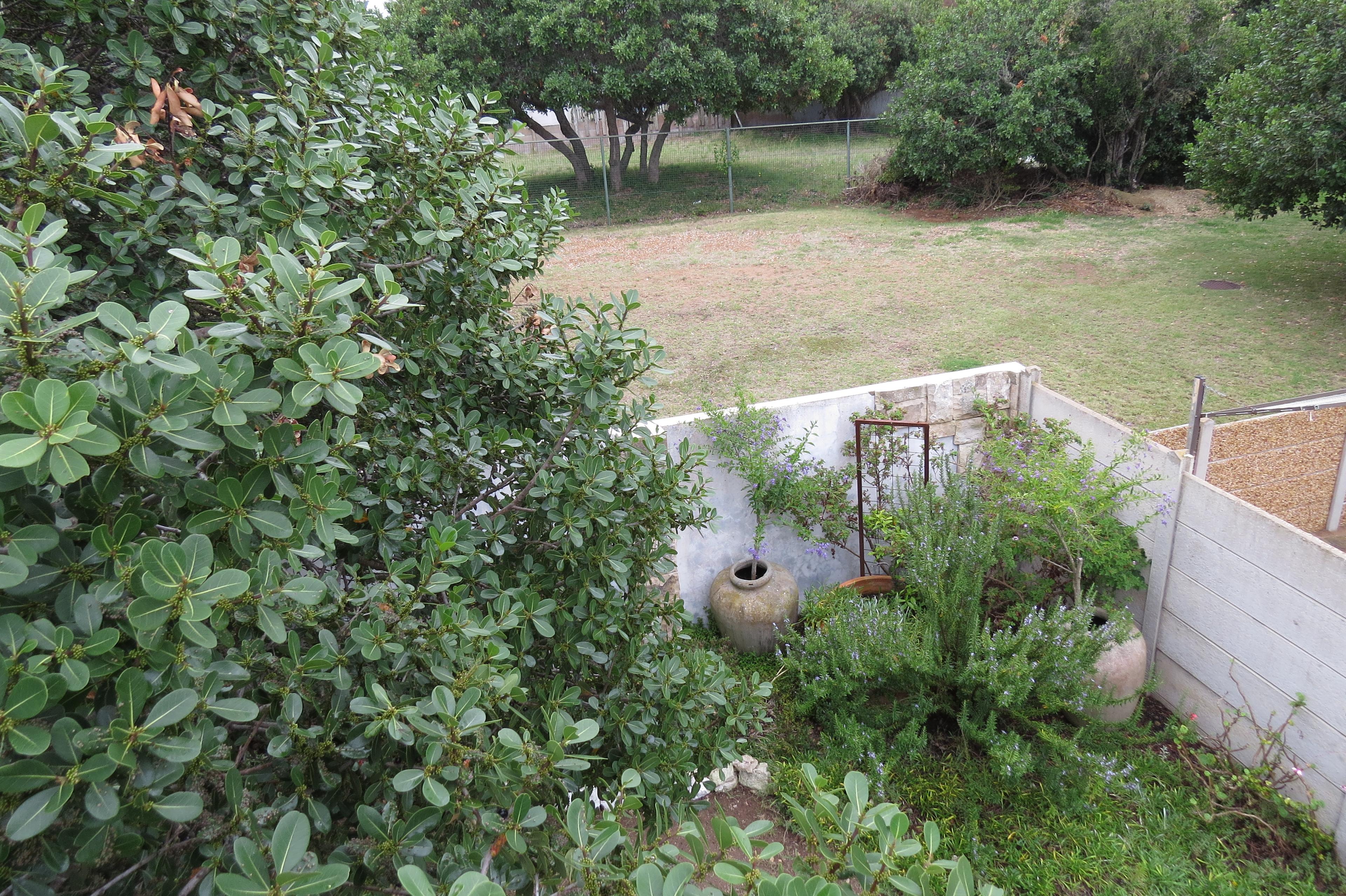 Image 35