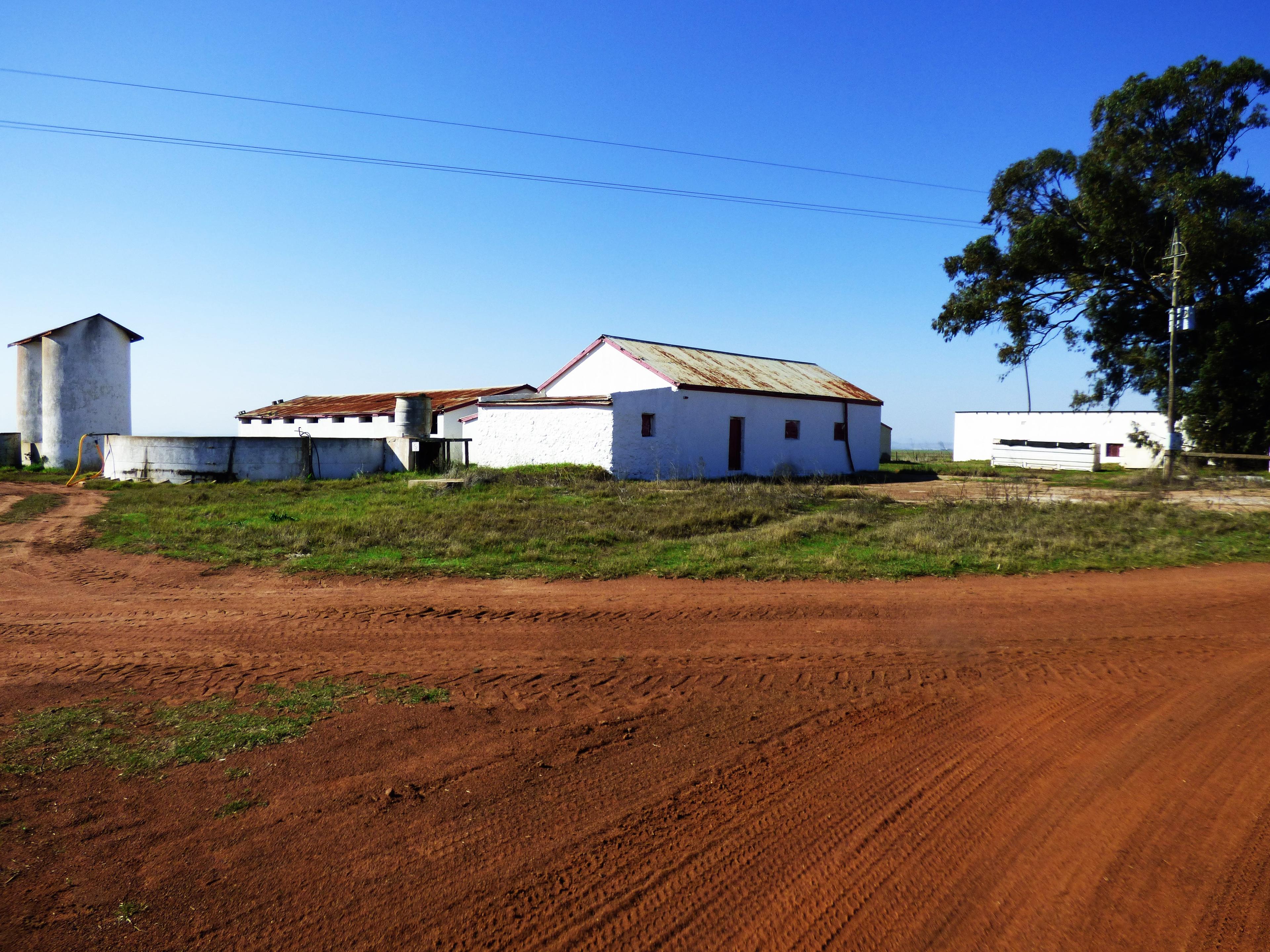 Image 2 of 6