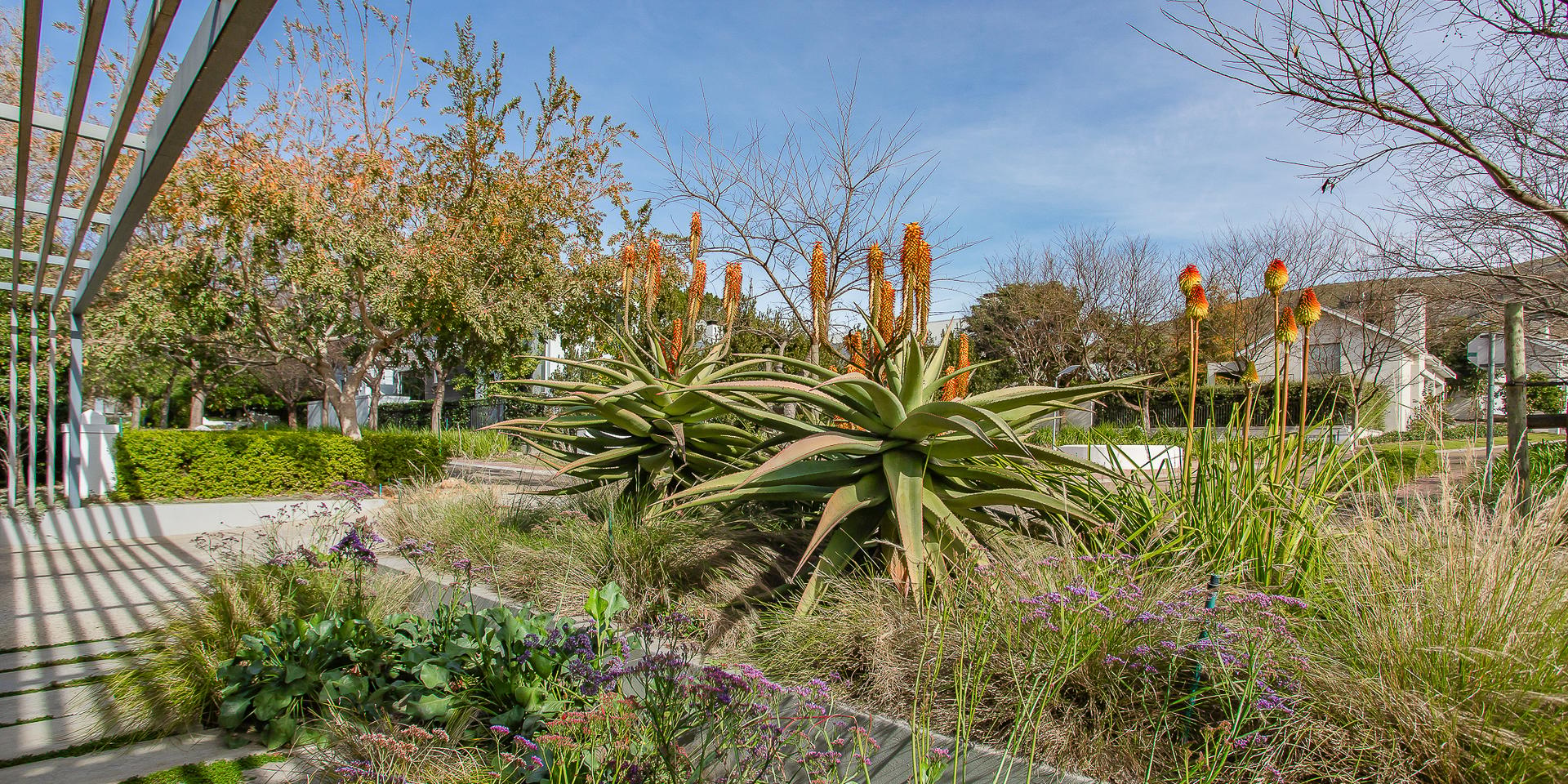 Image 3 of 6