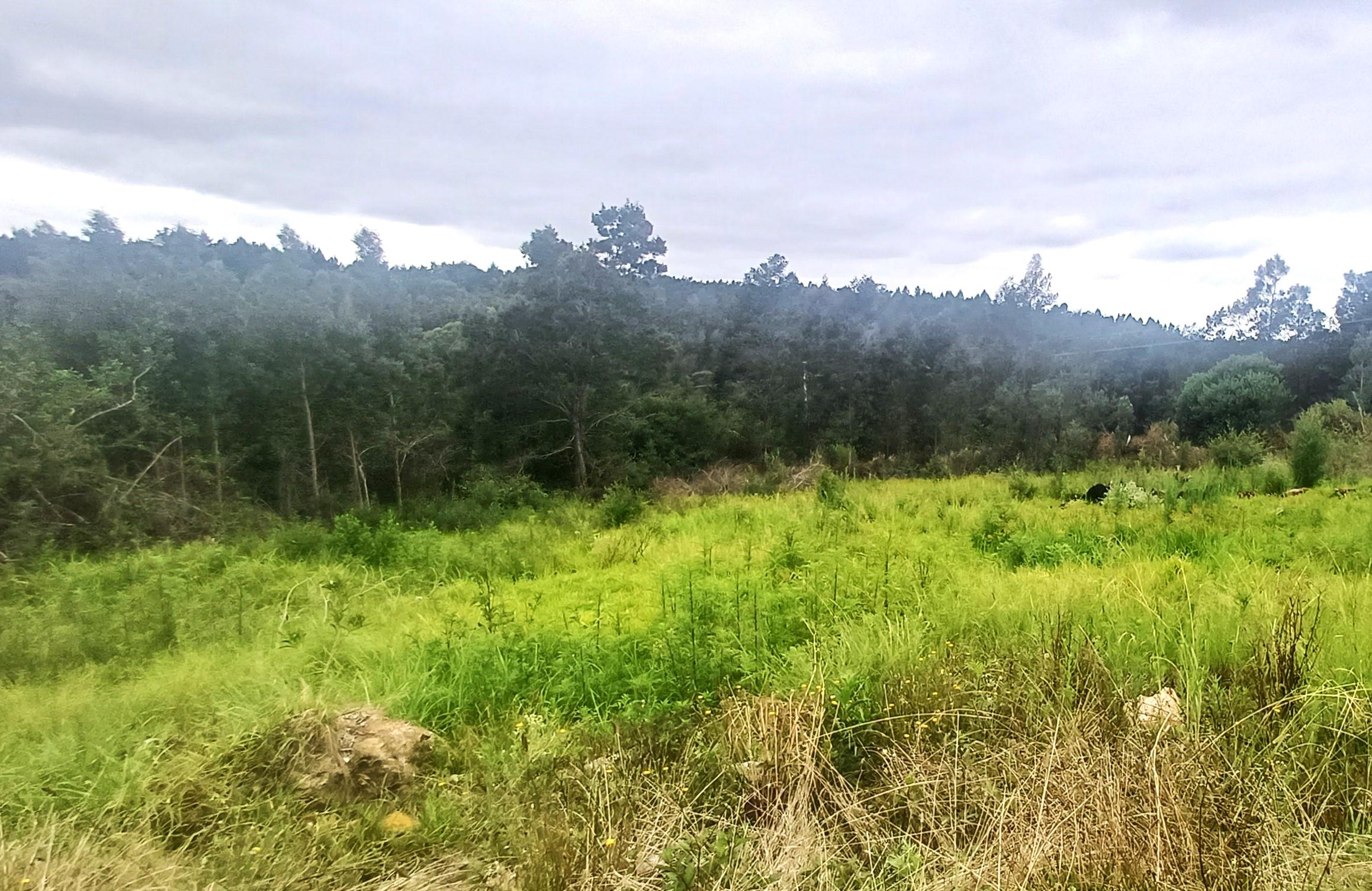 Image 4 of 6