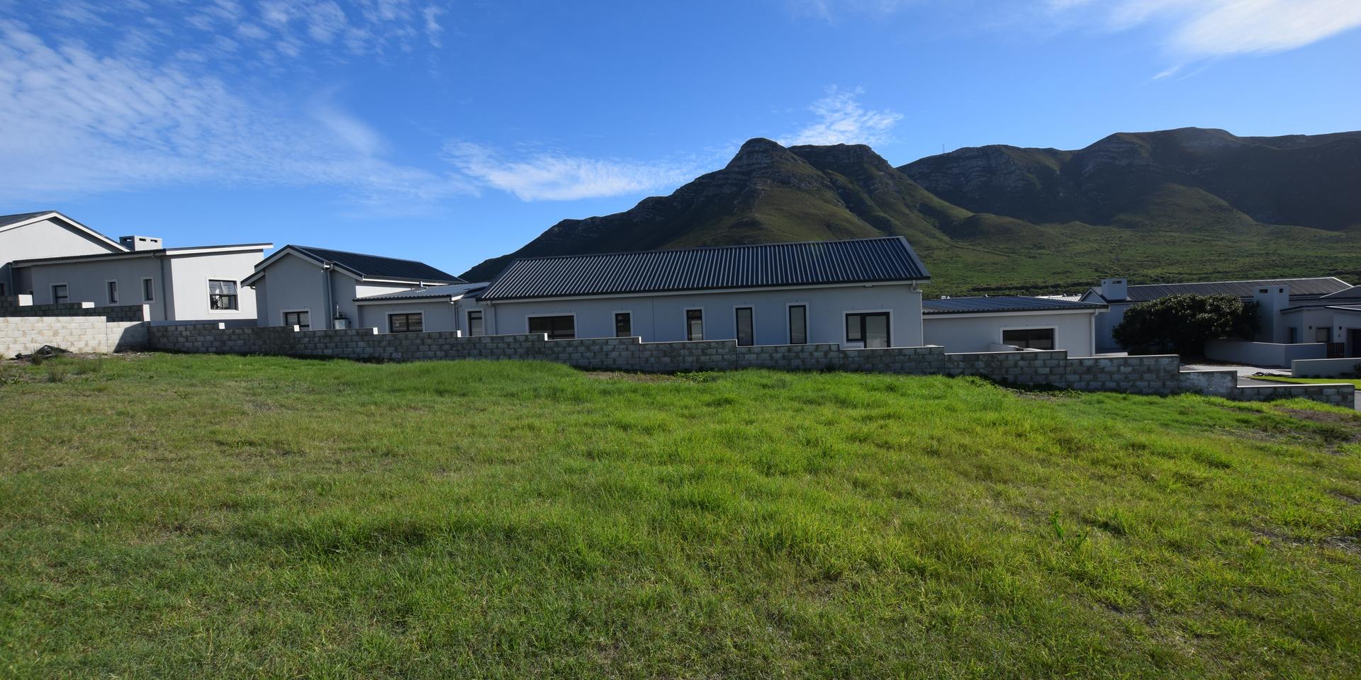 Image 3 of 6