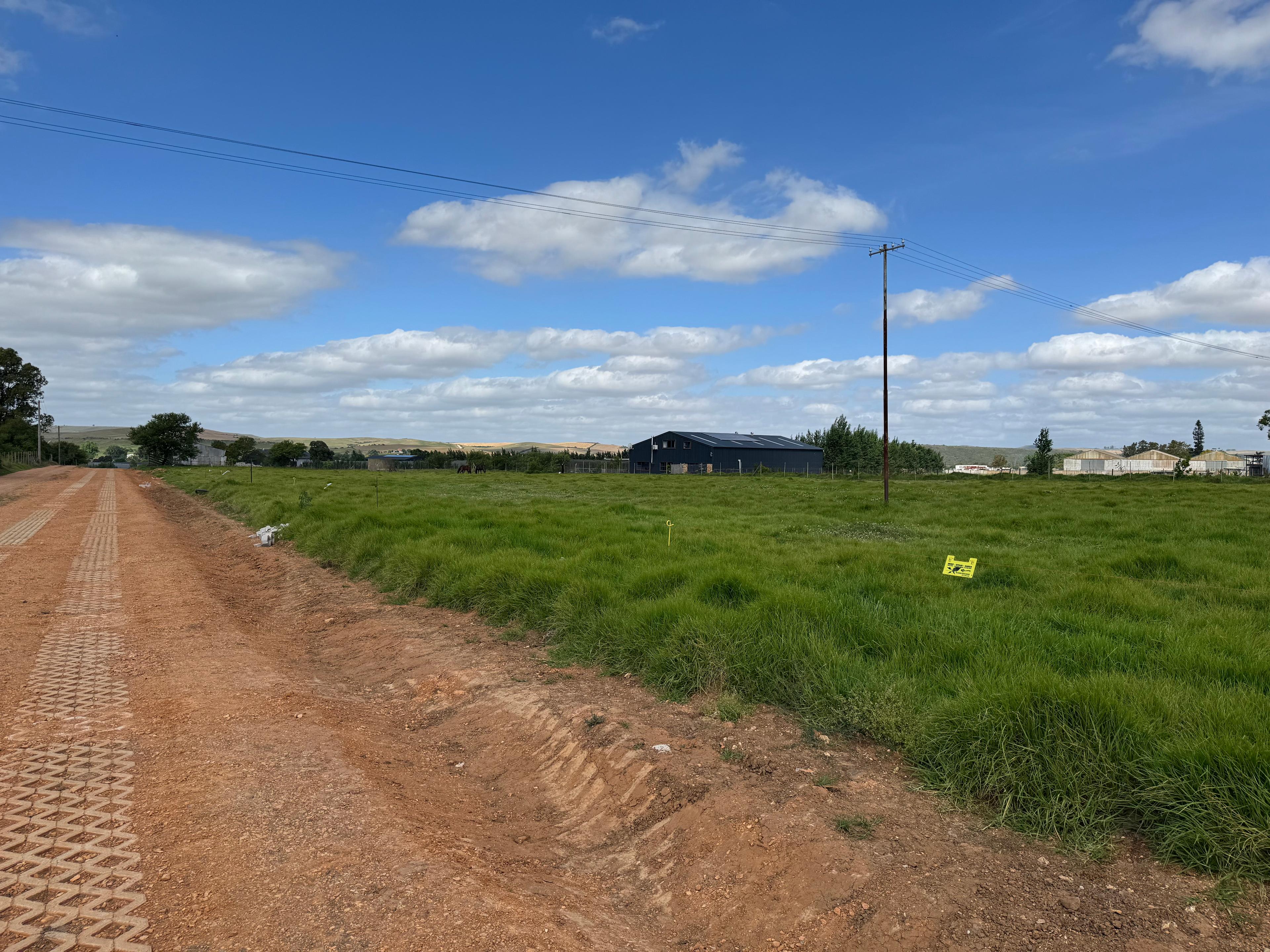 Image 21