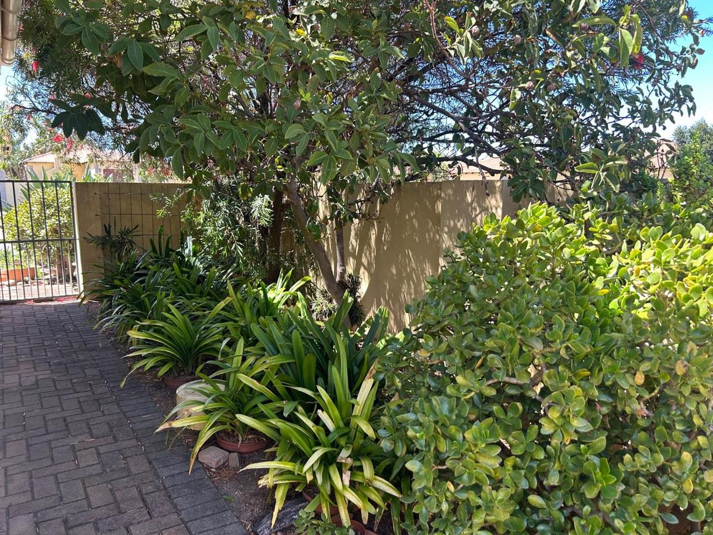 Image 14