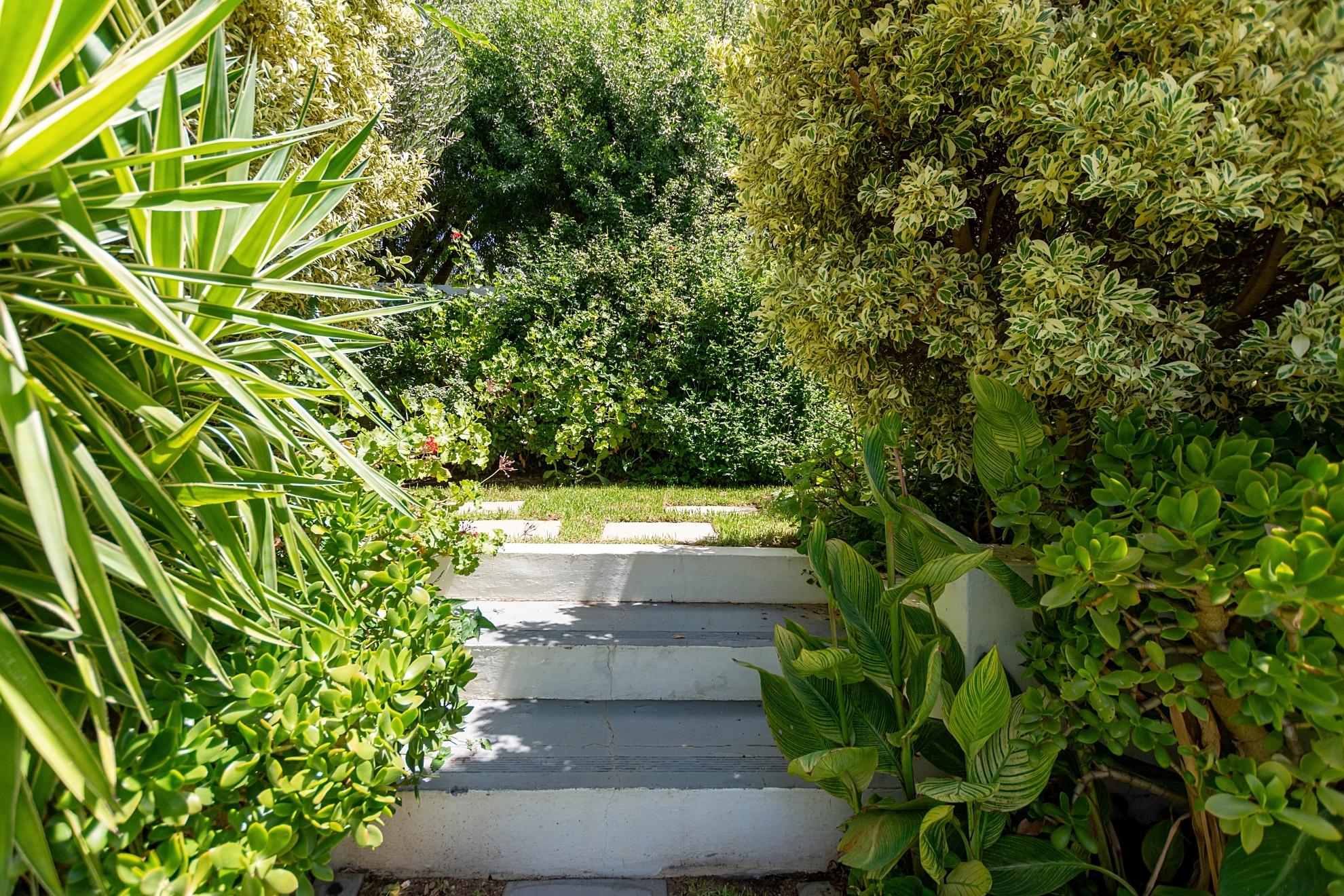 Image 15