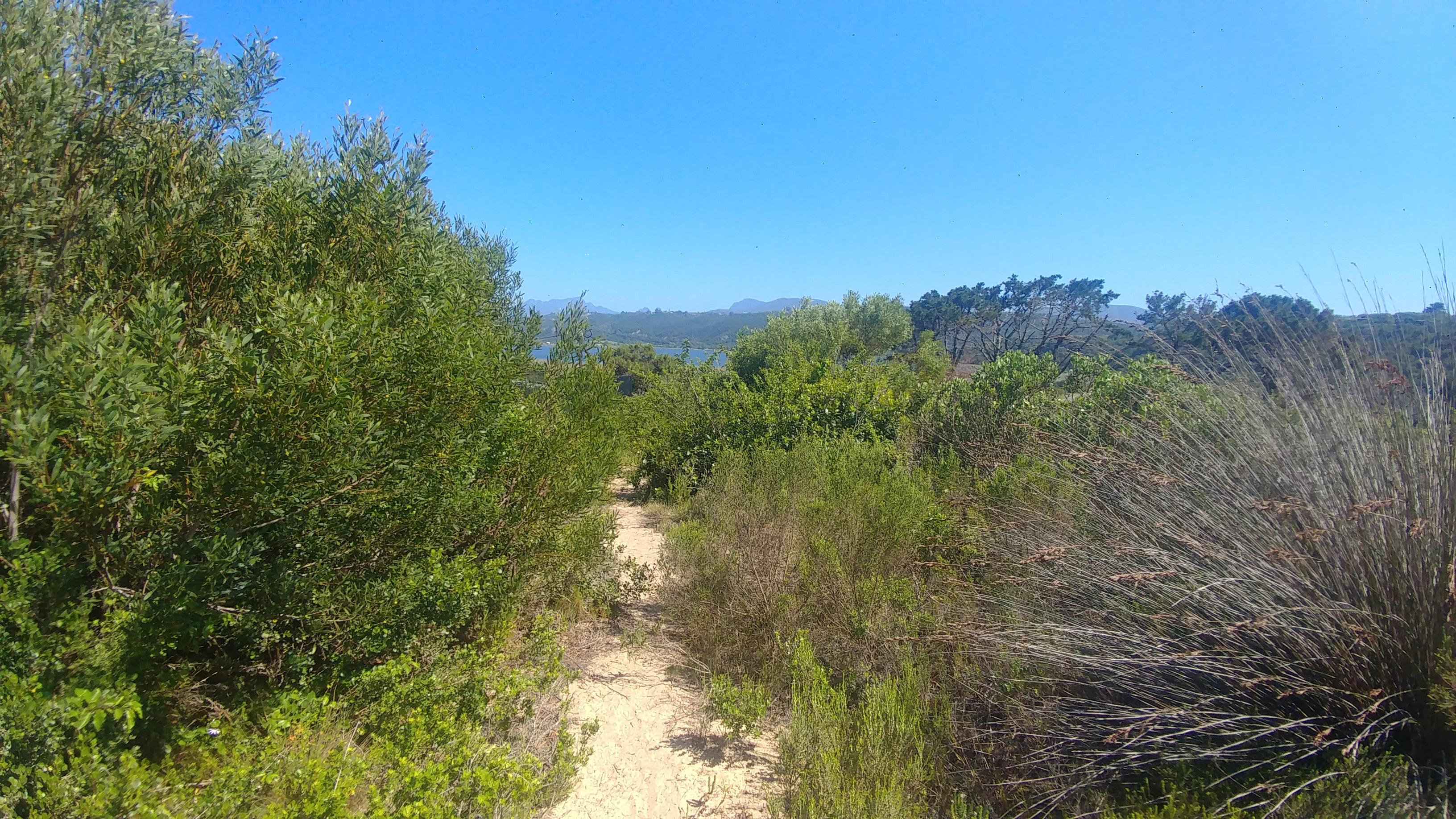 Image 3 of 6