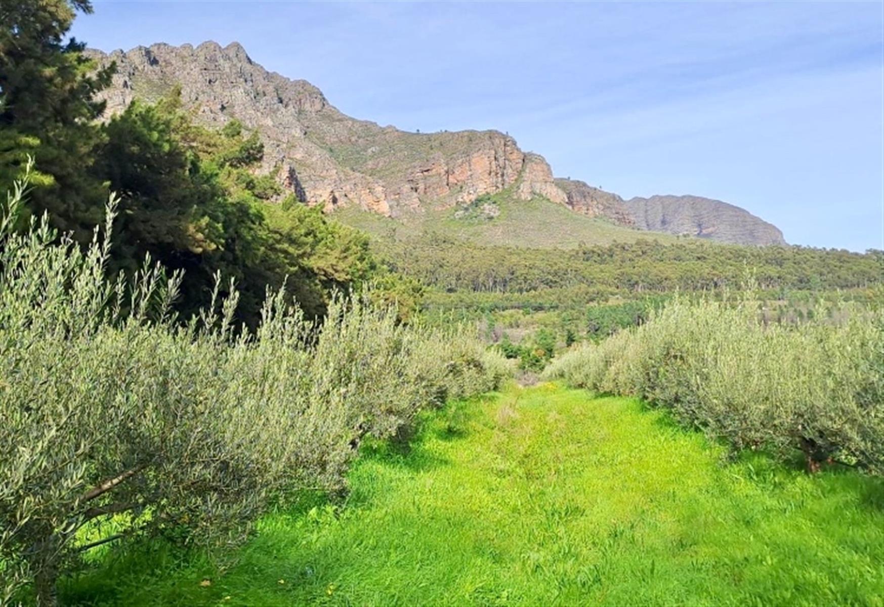 Image 4 of 6