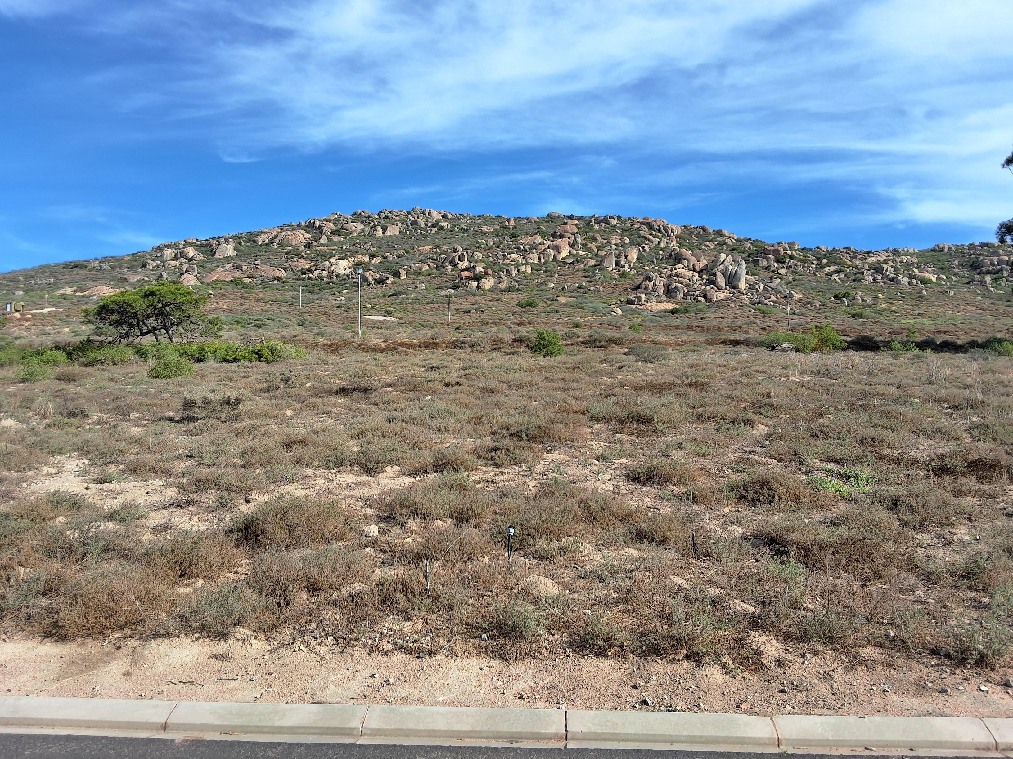 Image 5 of 6