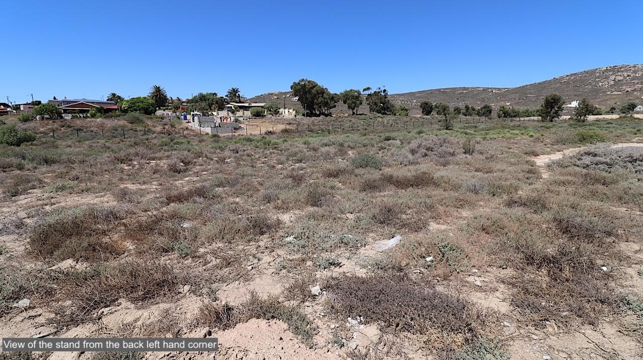 Image 12