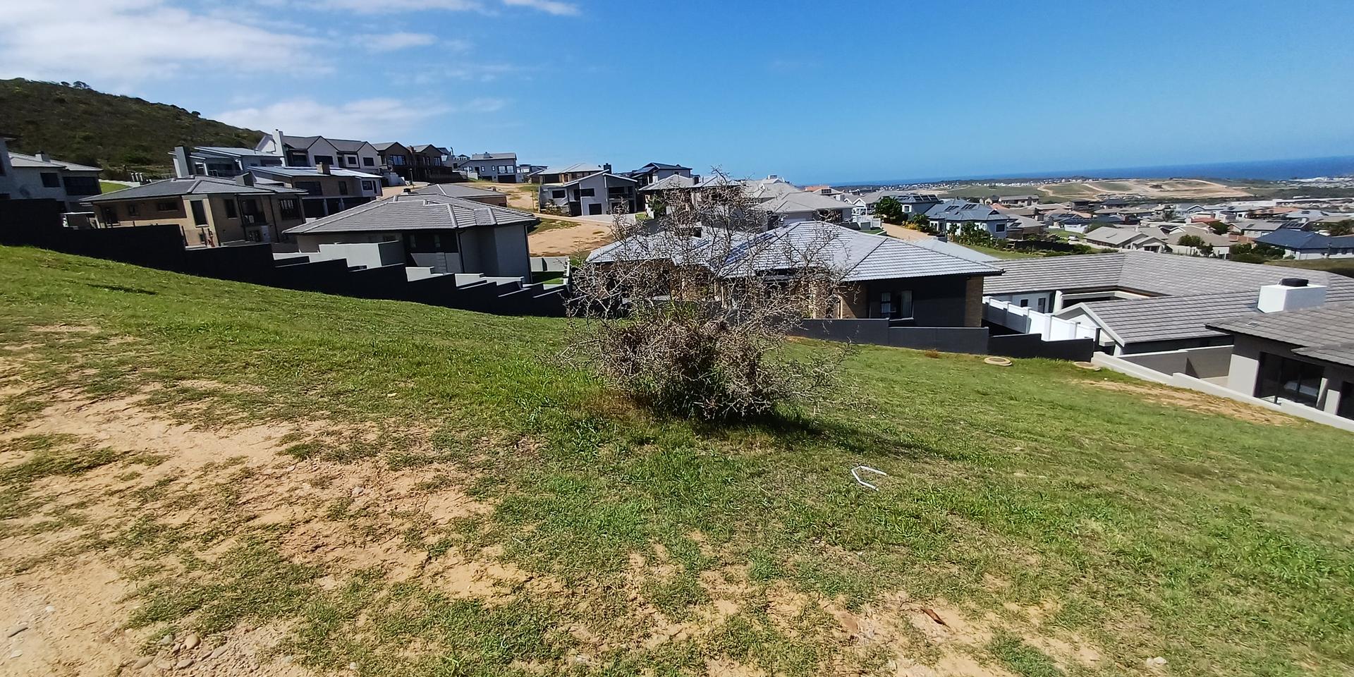 Image 4 of 6