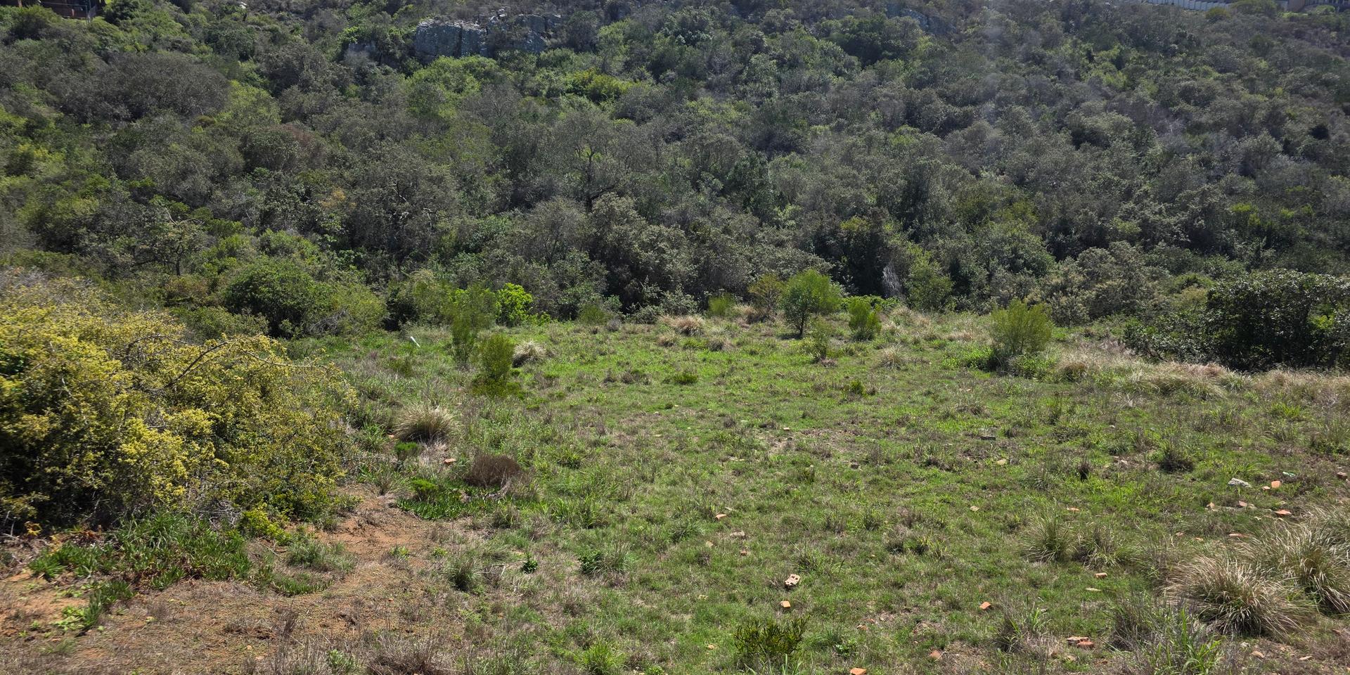 Image 4 of 6