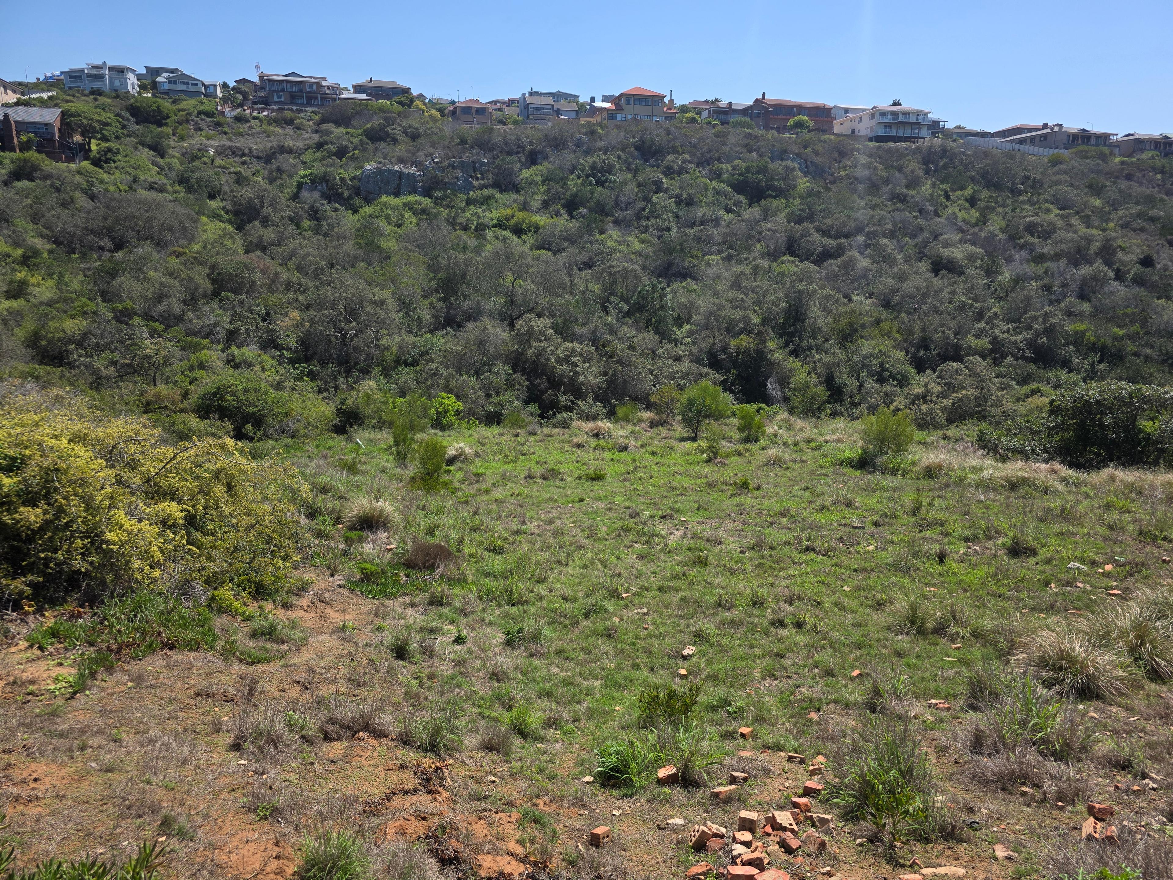 Image 4 of 6