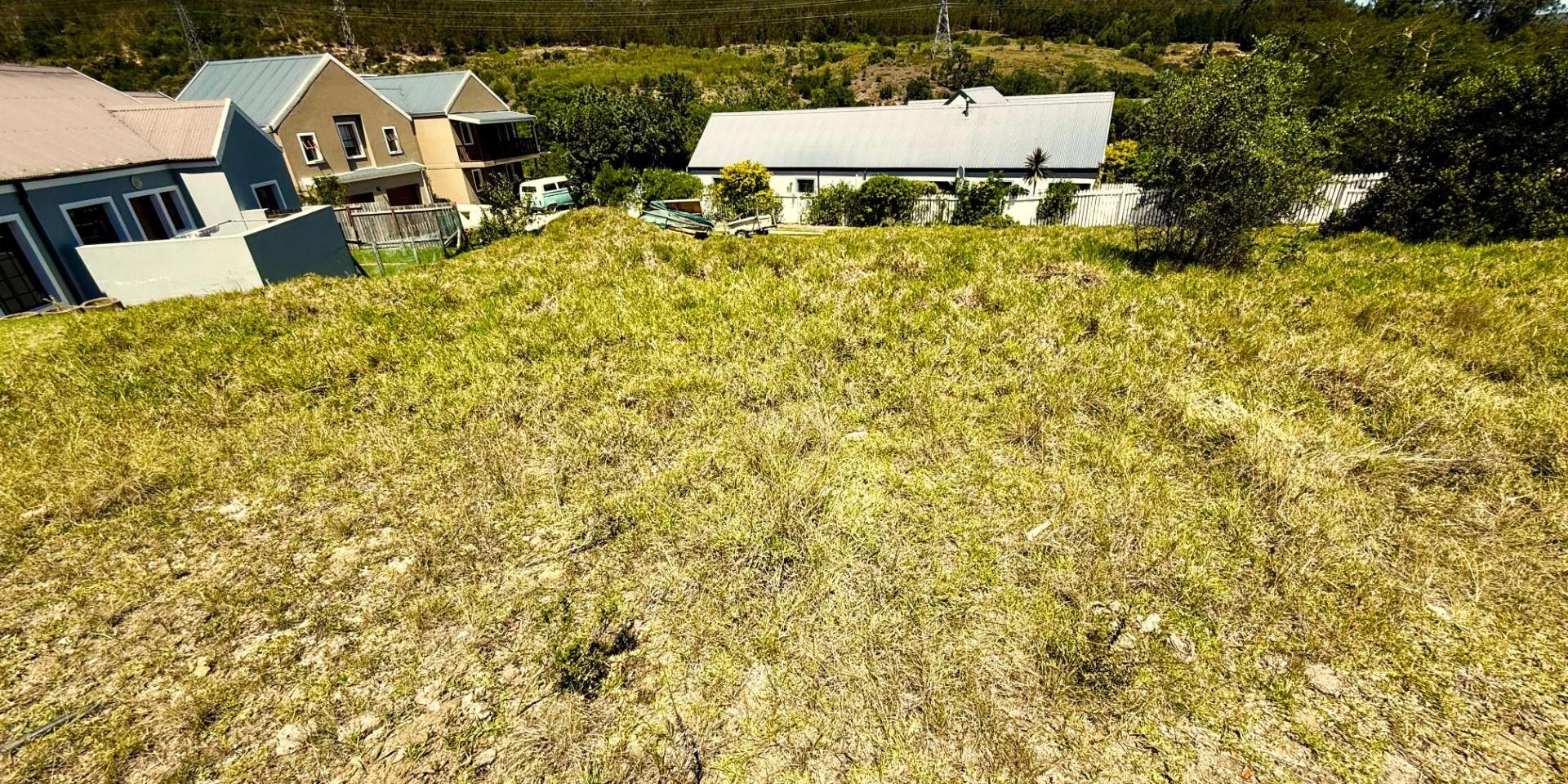 Image 3 of 6
