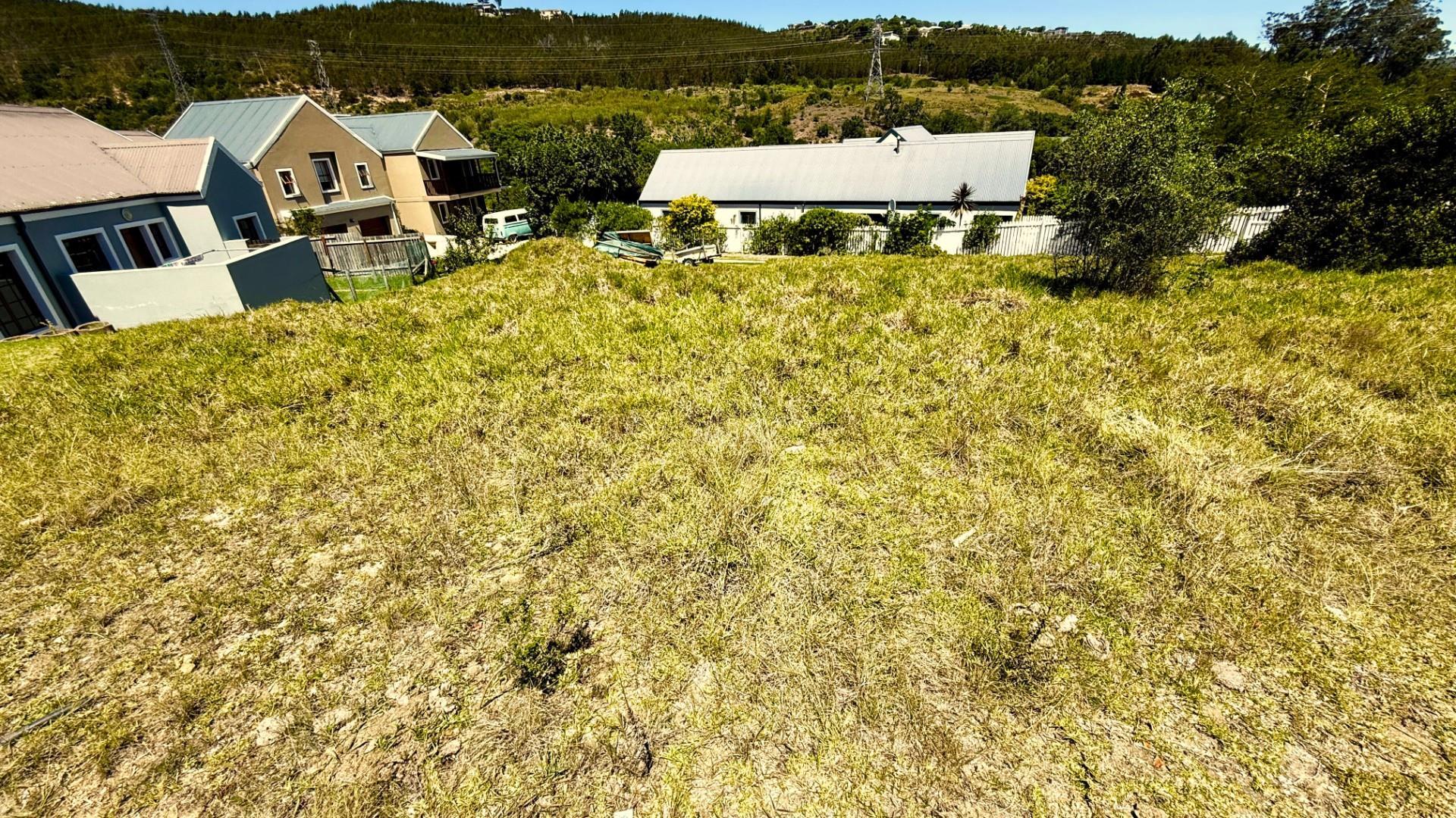 Image 3 of 6
