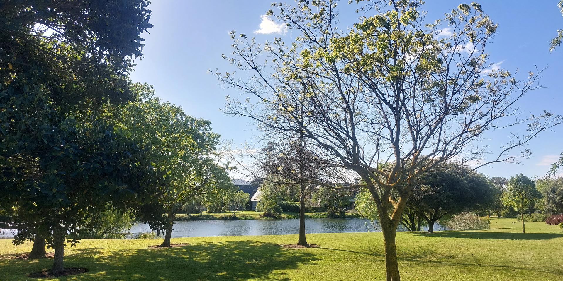 Image 4 of 6
