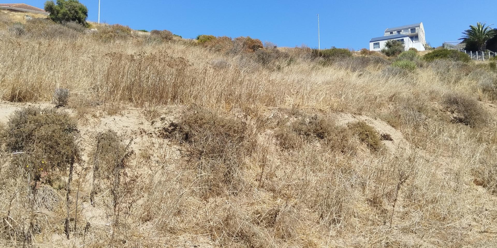 Image 4 of 6