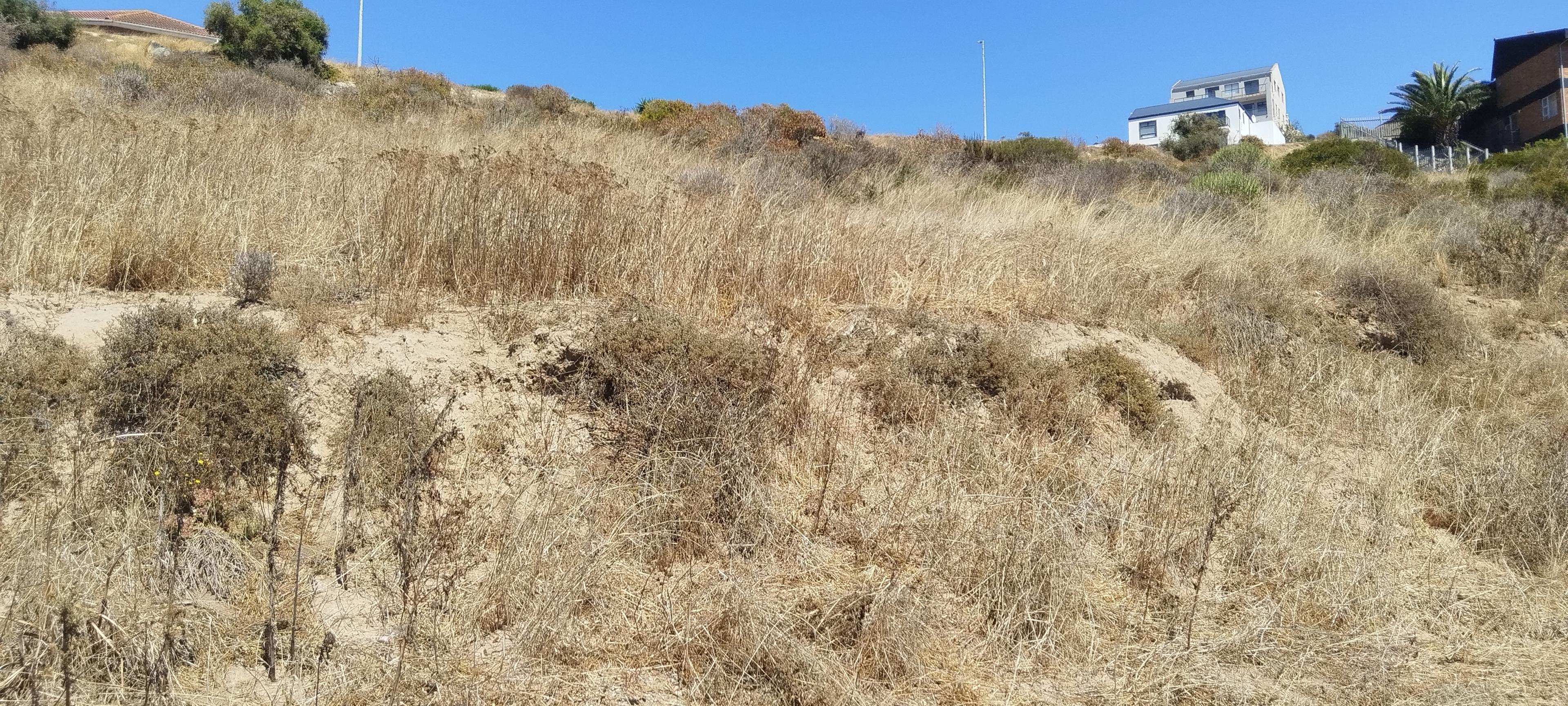 Image 4 of 6