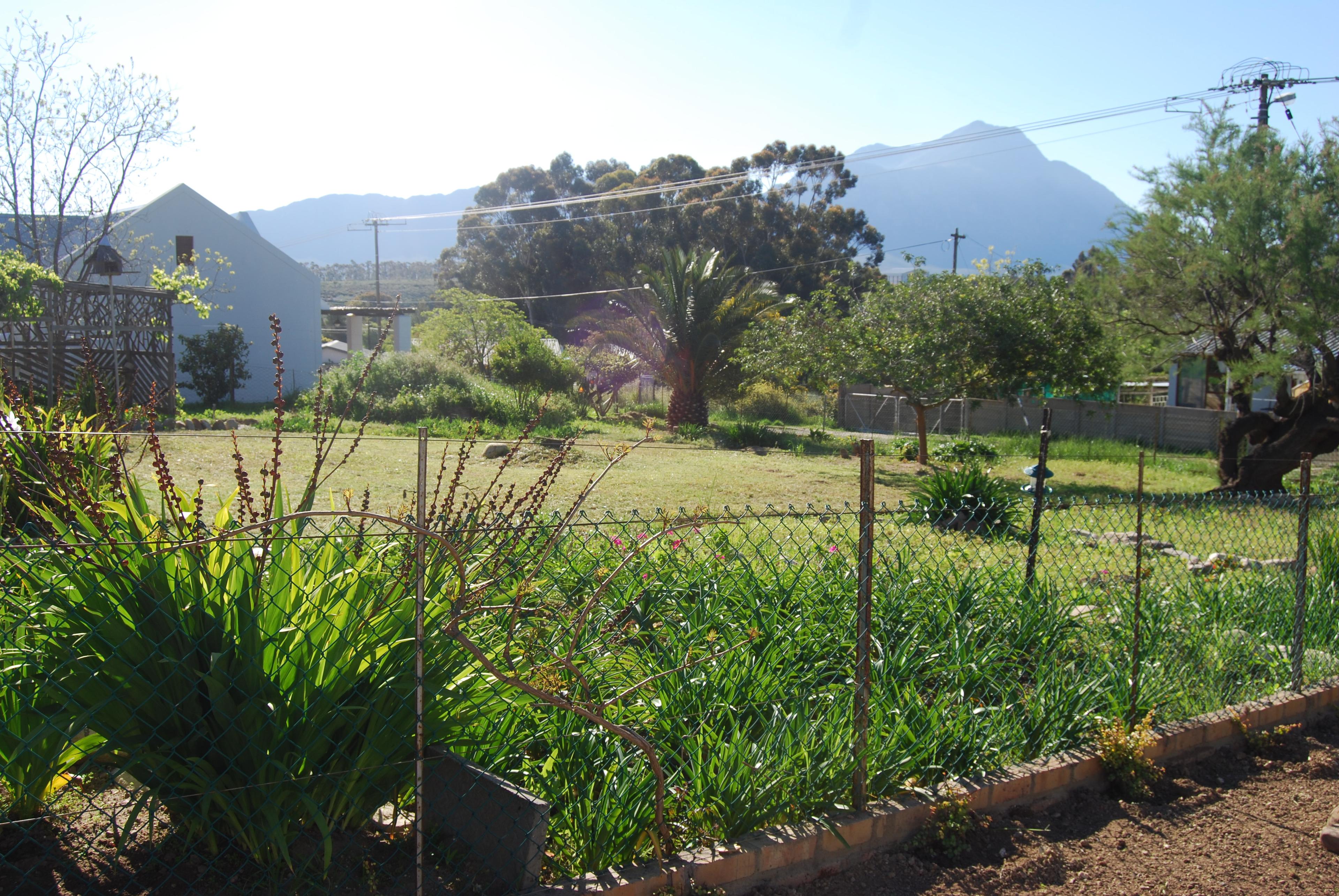 Image 2 of 6