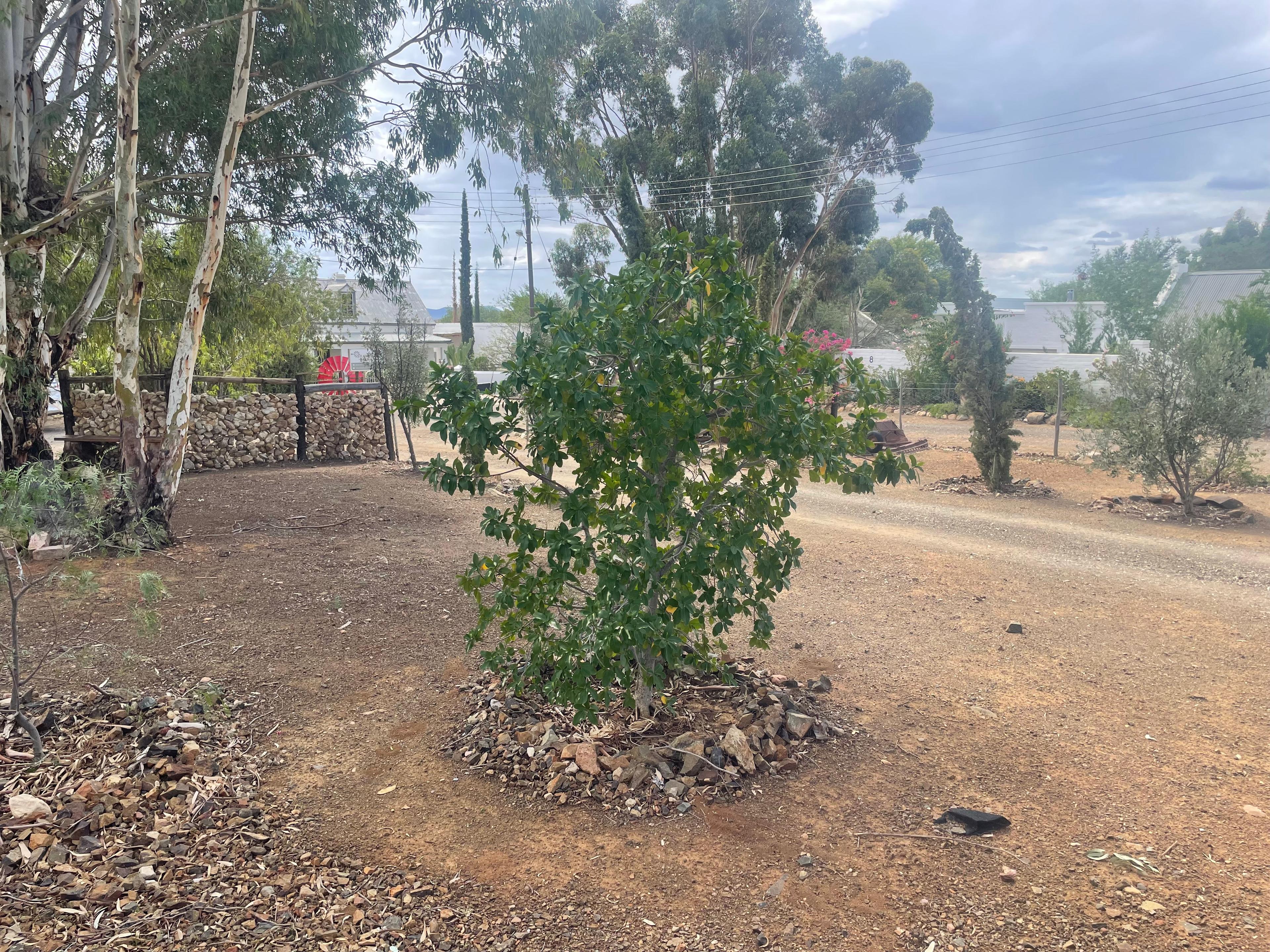 Image 6