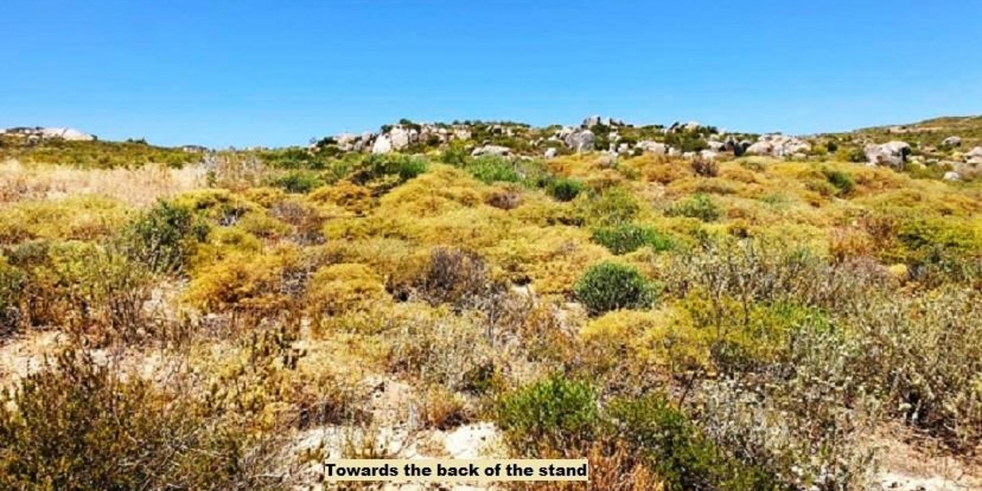 Image 5 of 6