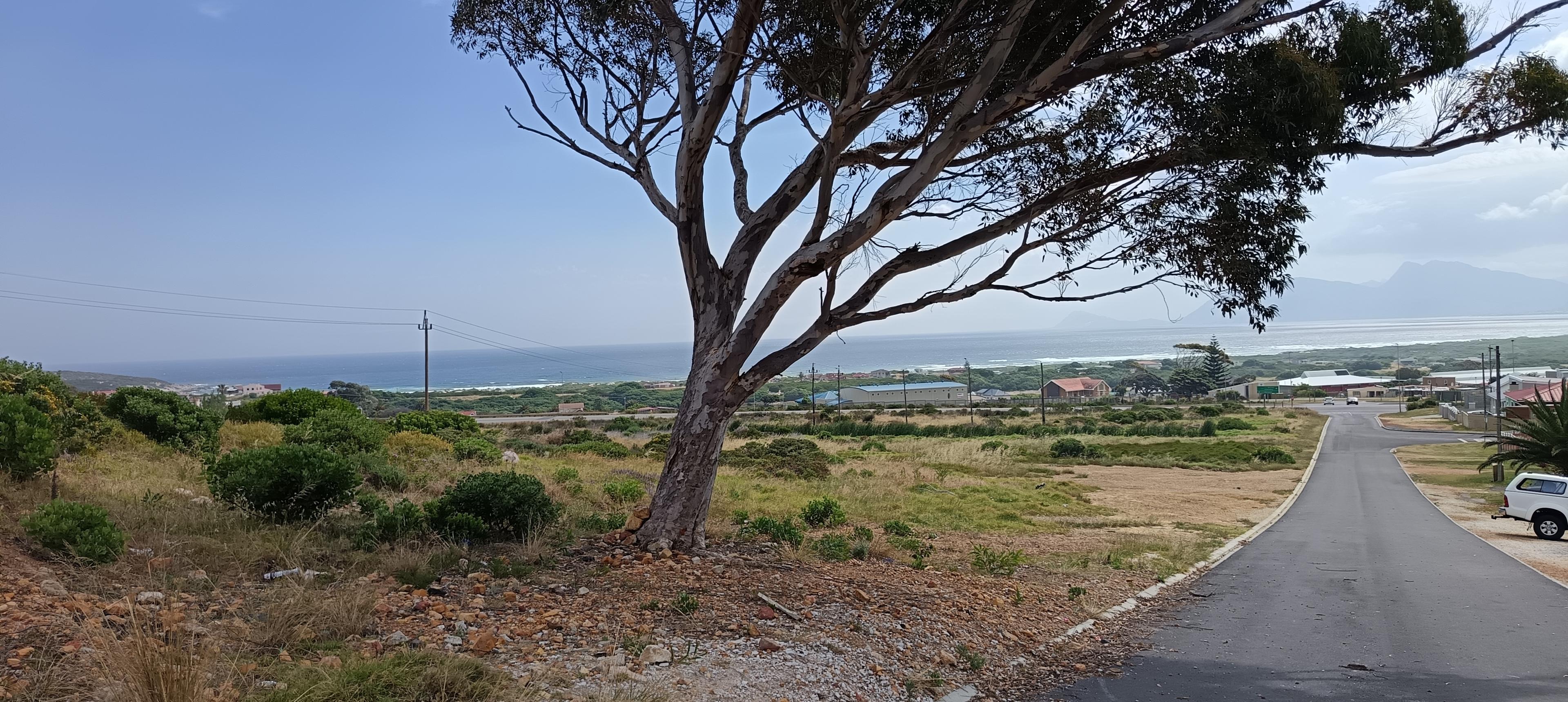 Image 4 of 6