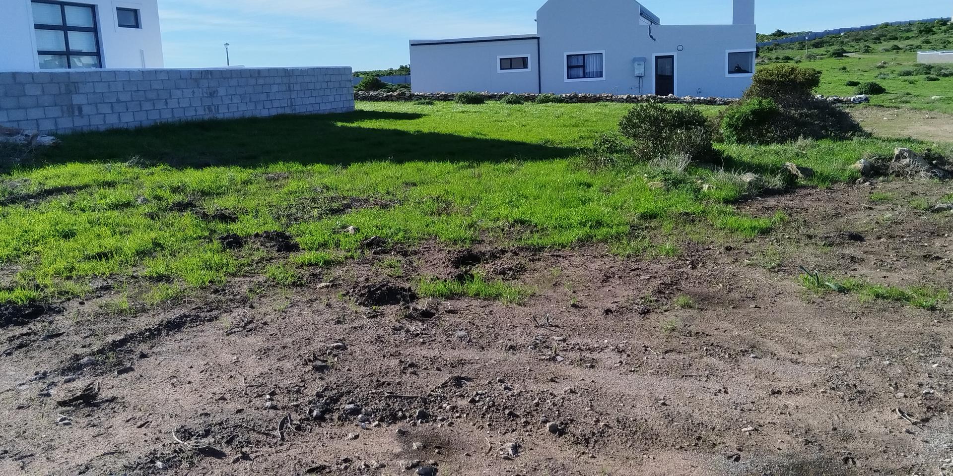 Image 3 of 6